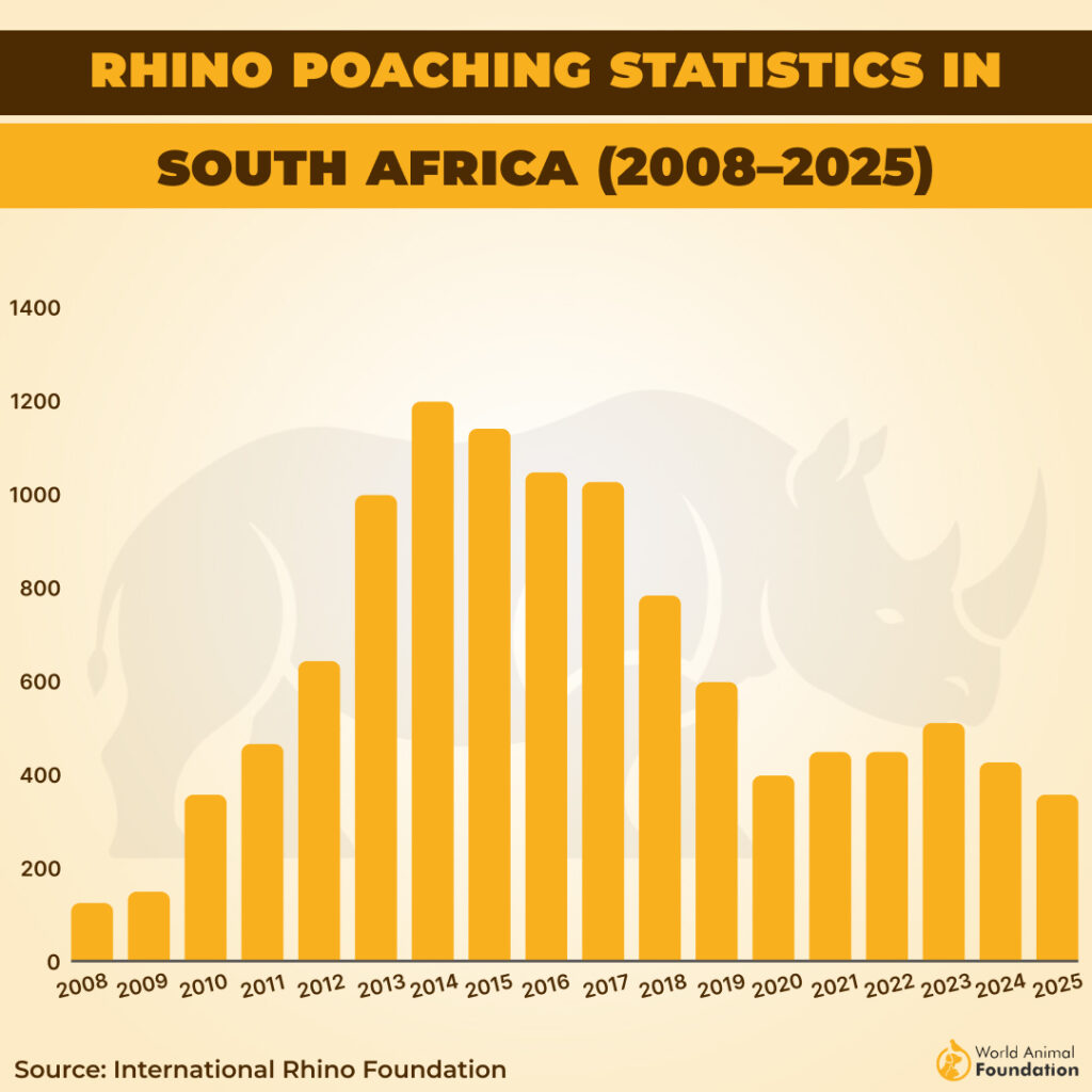 rhino poached in many countries
