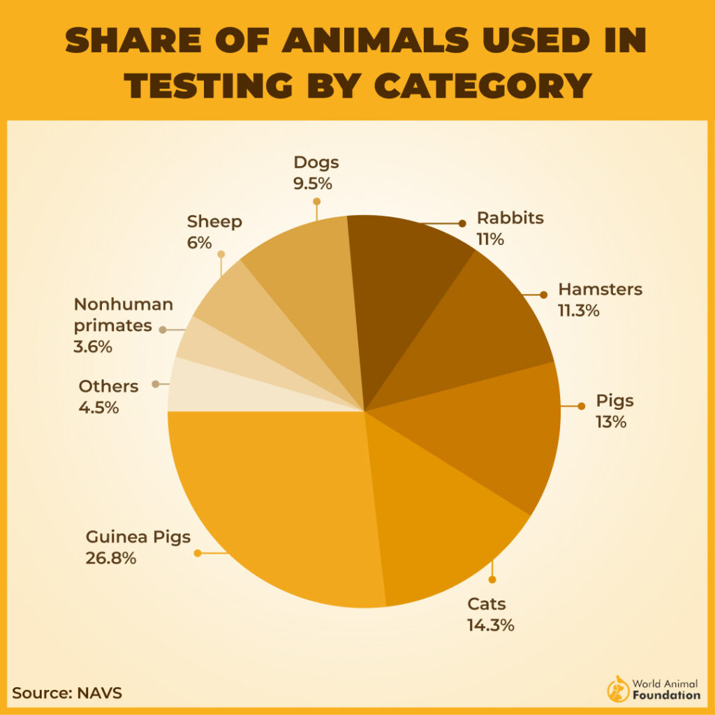 Frequently Used Animals for Experimentation Globally