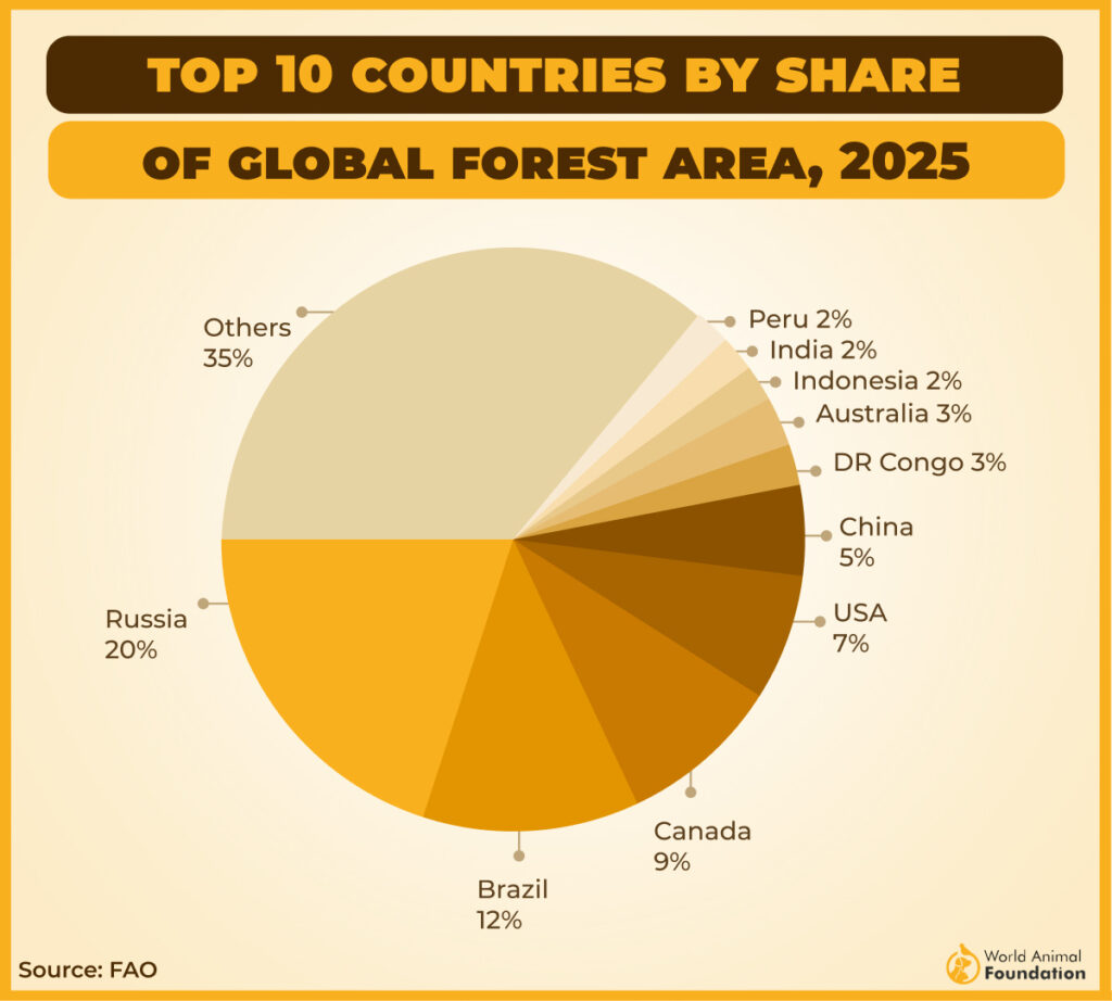 Almost 7% of the World’s Forests Are in the US (FAO)