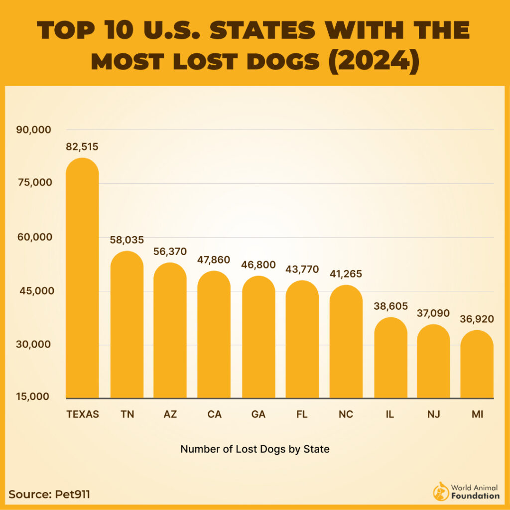 TOP 10 U.S. STATES WITH THE
MOST LOST DOGS (2024)