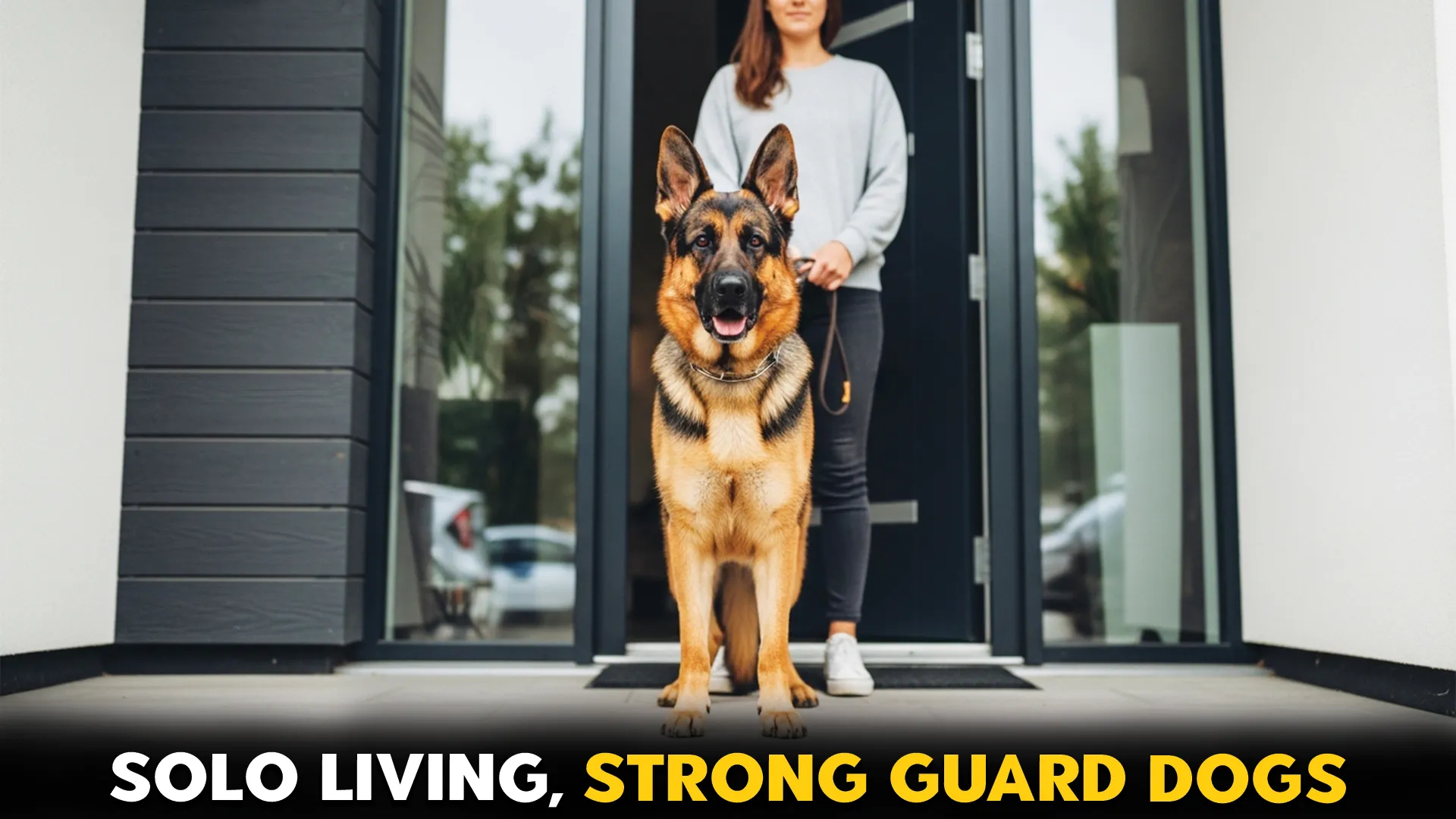 German Shepherd Dog Breeds vs. English Mastiff