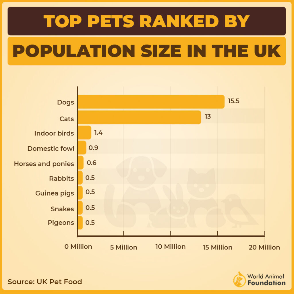 How Many Dogs Are In The UK