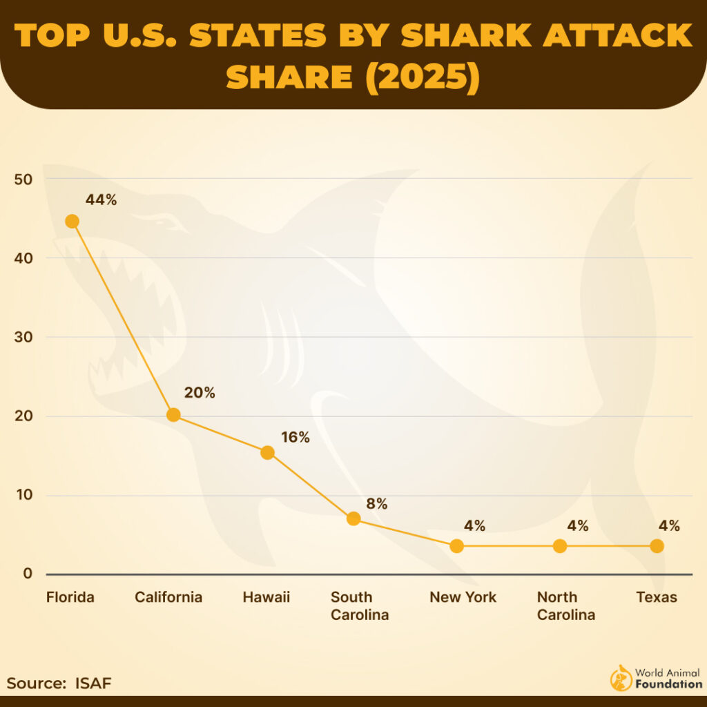 TOP U.S. STATES BY SHARK ATTACK