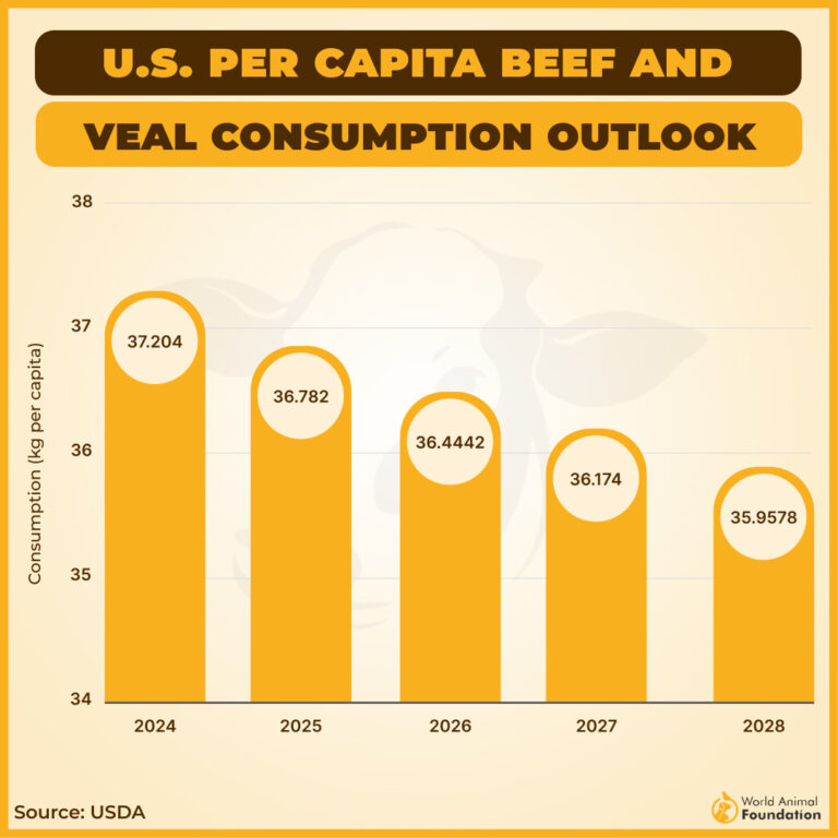 how much beef is consumed in the world? [2024 stats &... Most Consumed Meat In The World In 2026
