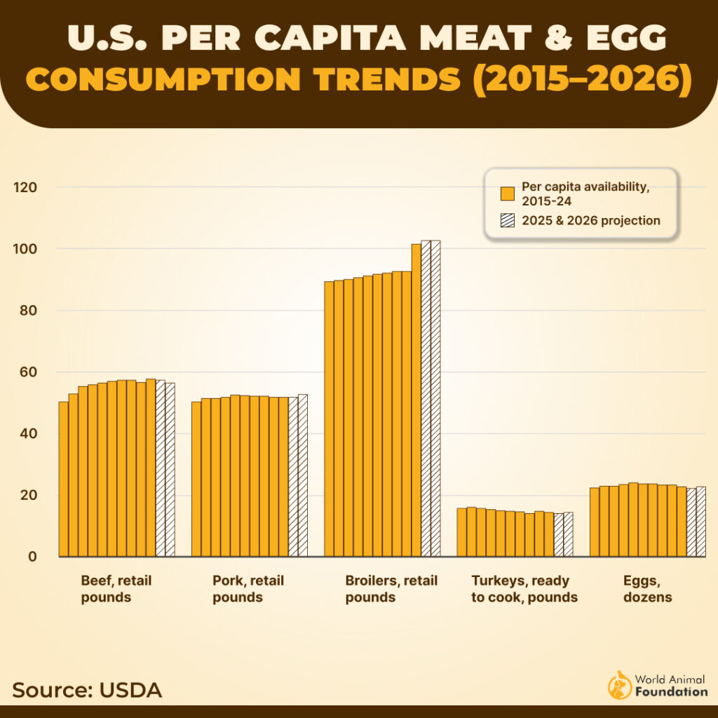 Meat and egg consumption trends chart