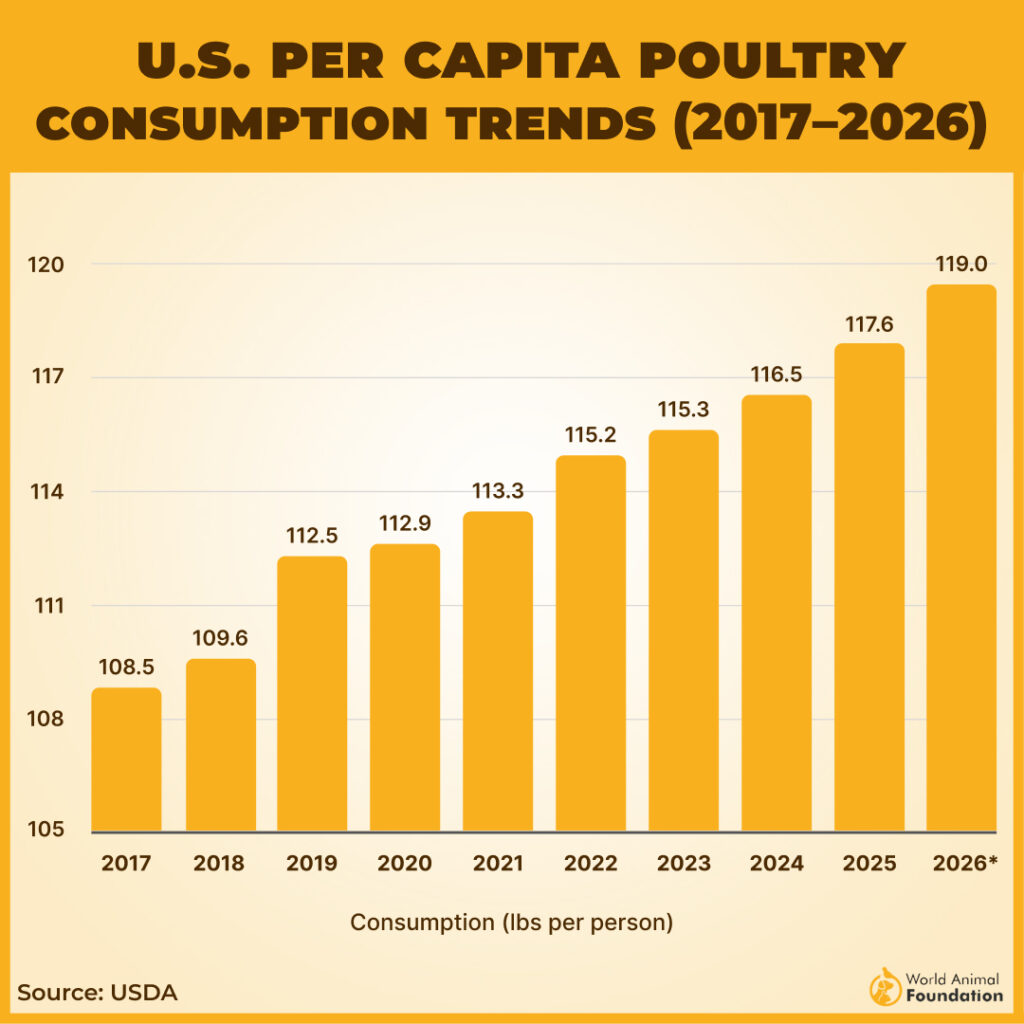 Increasing poultry consumption in the U.S.