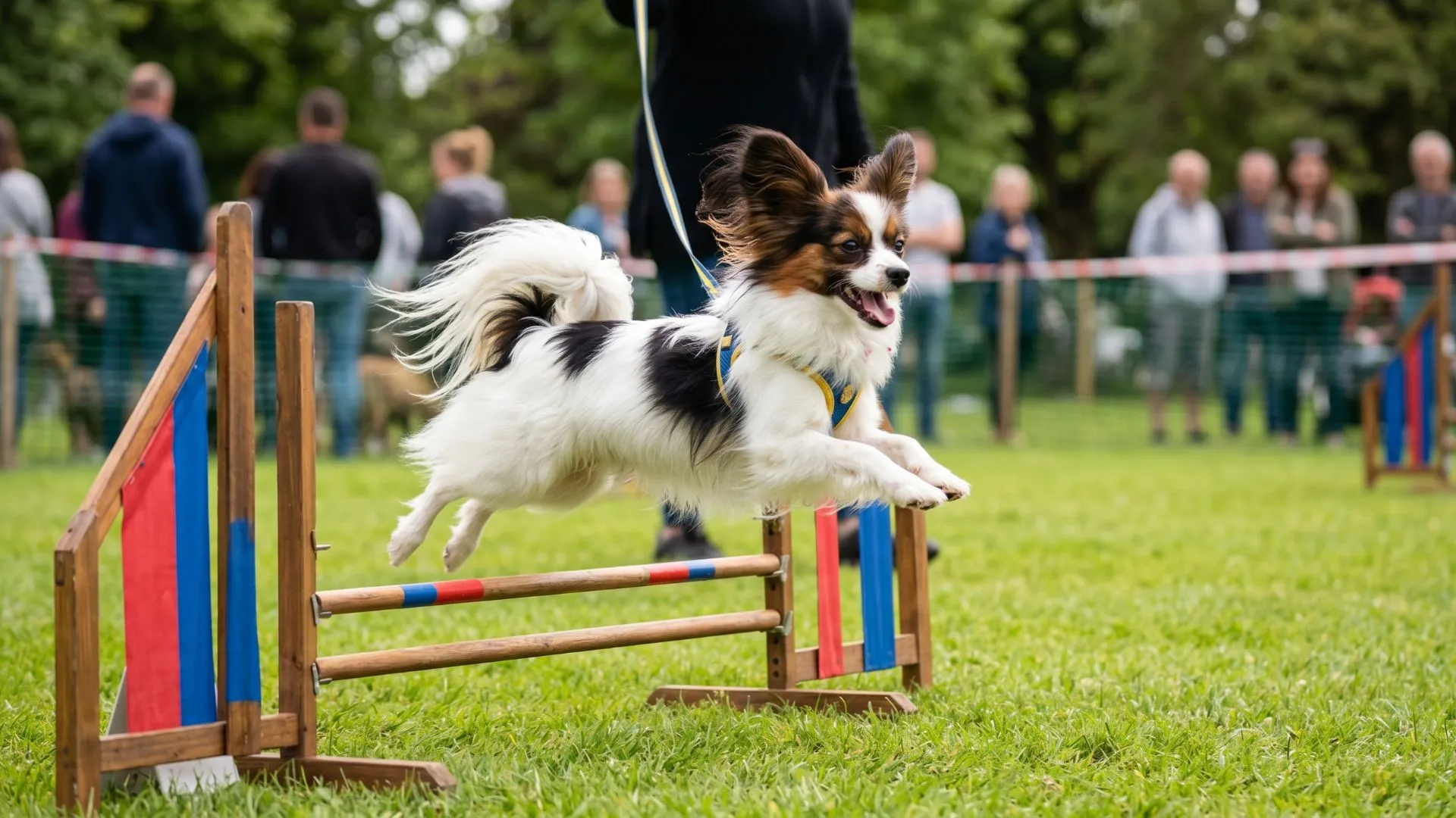 Fun-Filled Small Dog Breeds That Make Every Moment Joy