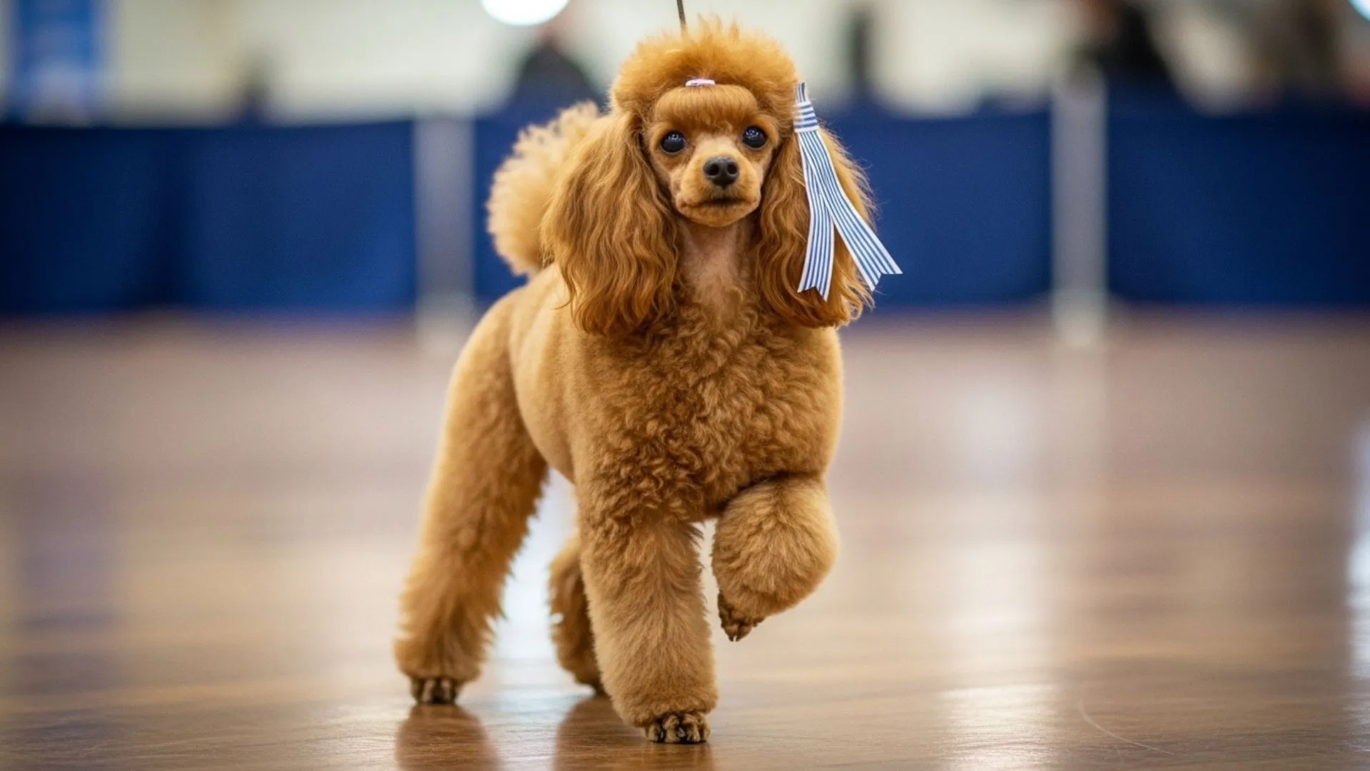 Lovable Tiny Dog Breeds That Make Great Companions