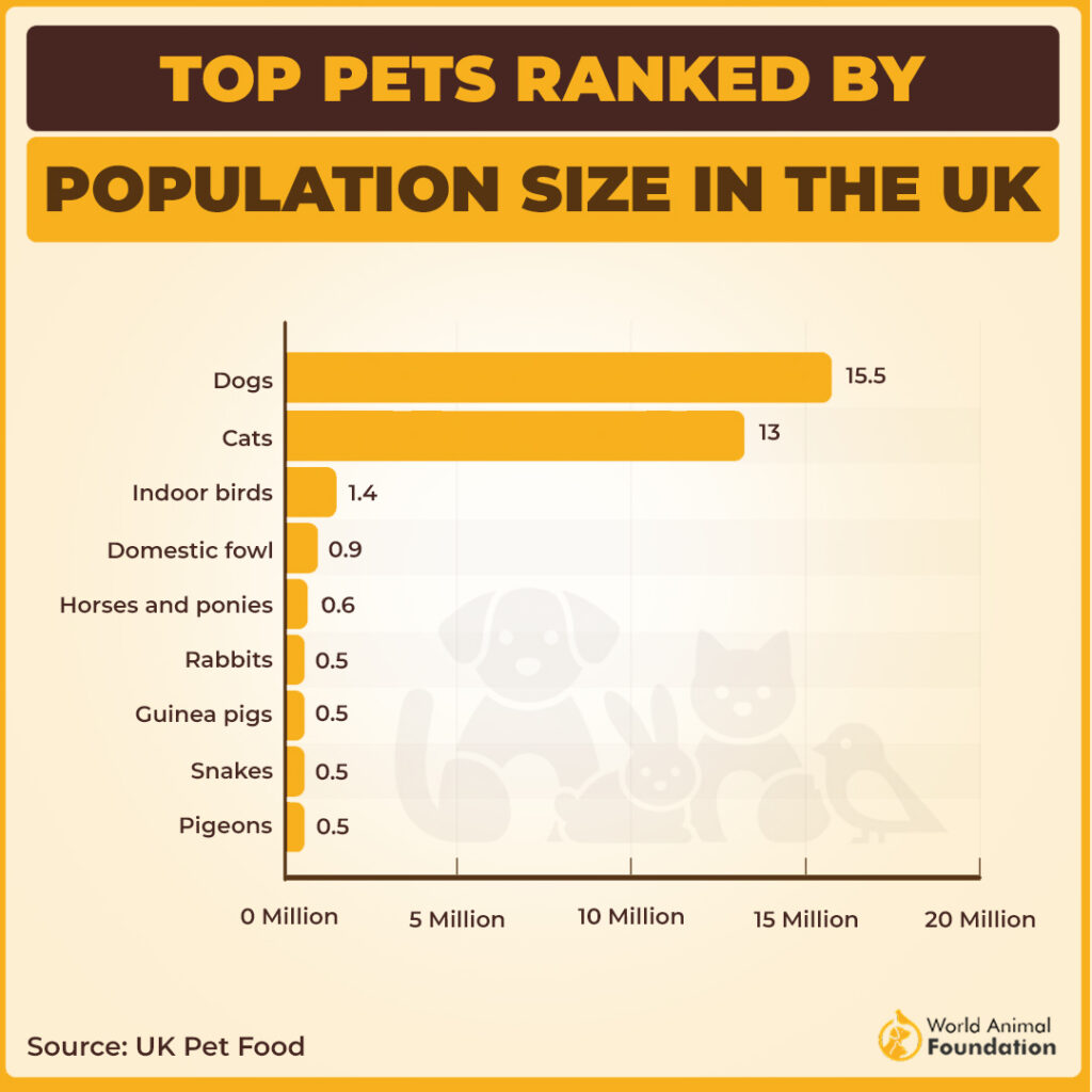 UK pet population size ranking chart