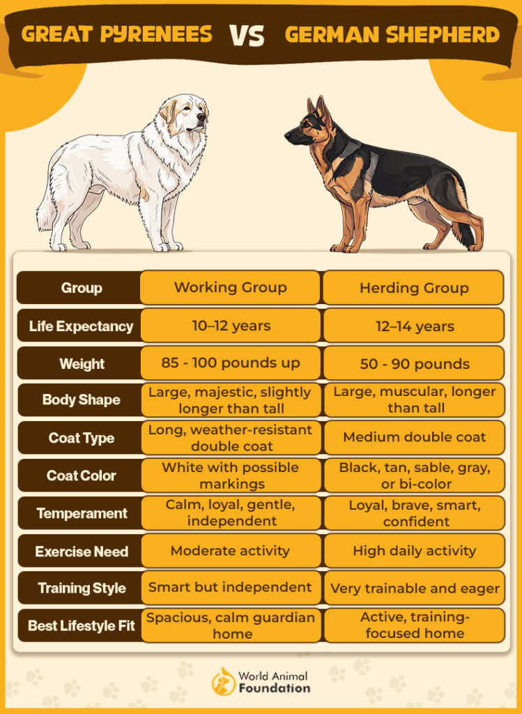 topic-chart