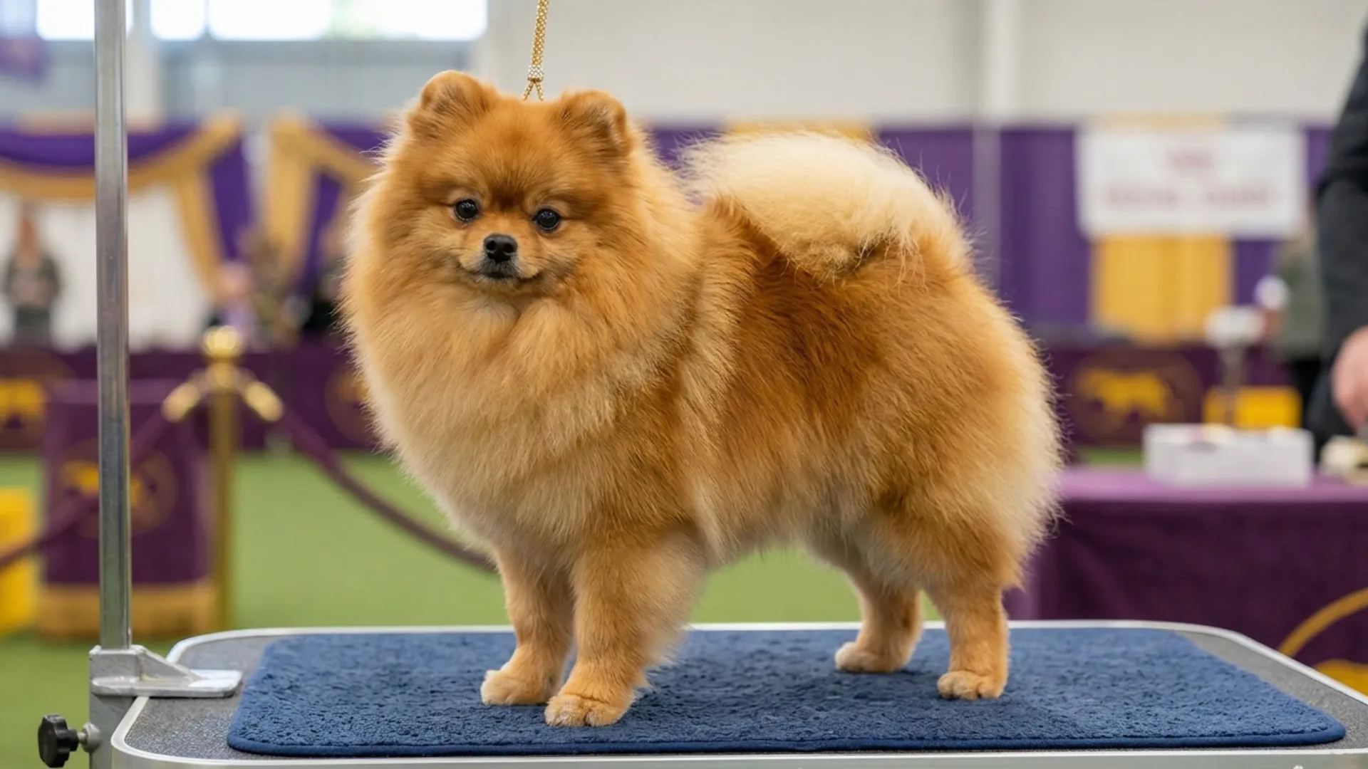 7 Small Dog Breeds That Maintain Their Tiny Size