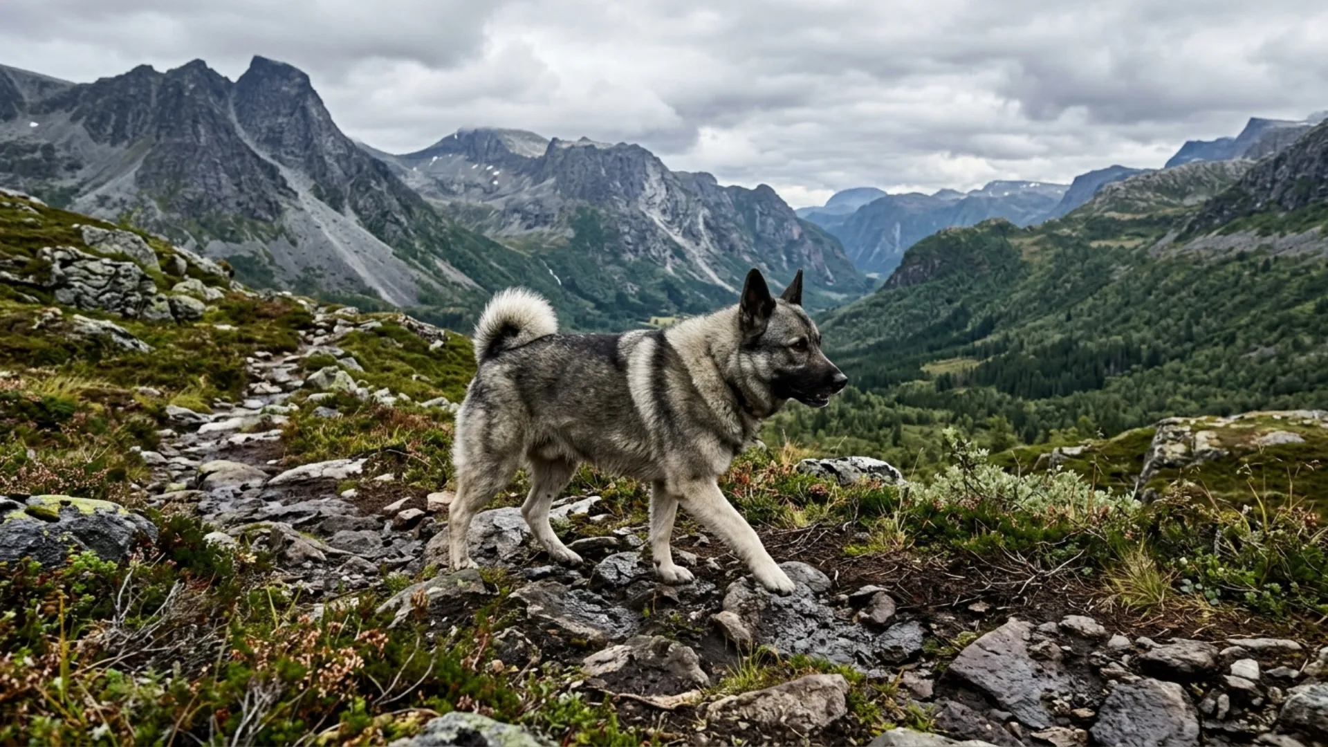 Hardy Dog Breeds That Thrive in Rugged Outdoor Terrains