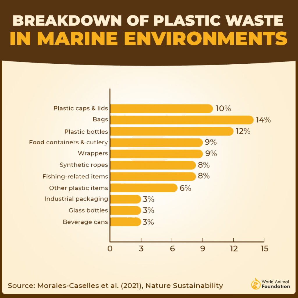 what is polluting the world's ocean?
