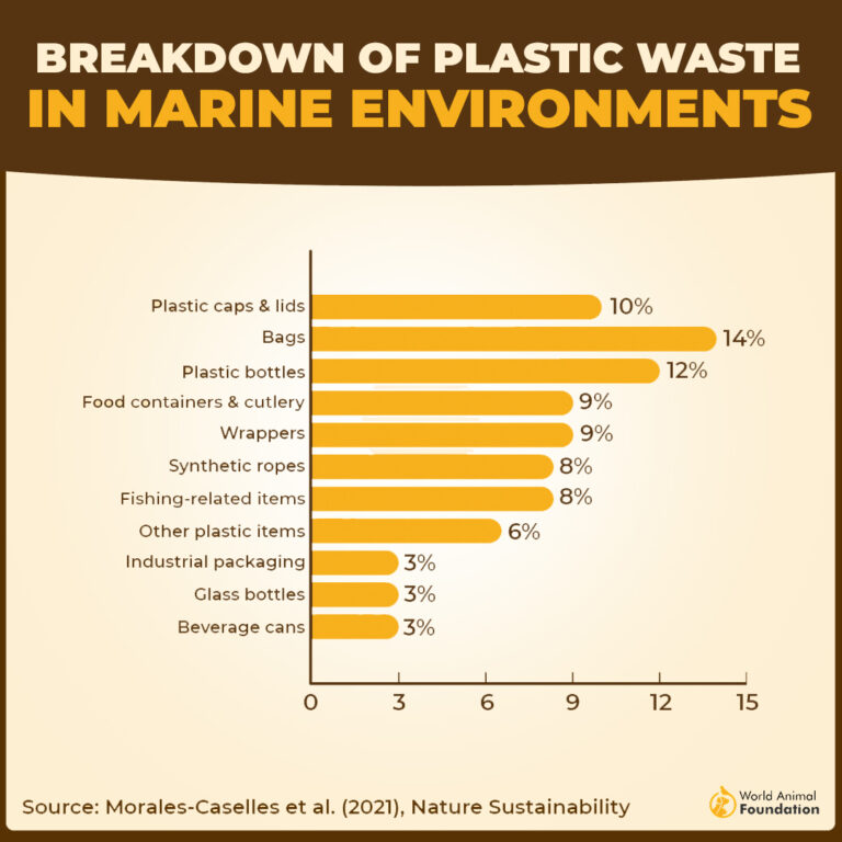 Shocking Ocean Pollution Facts You Need To Know In 2026