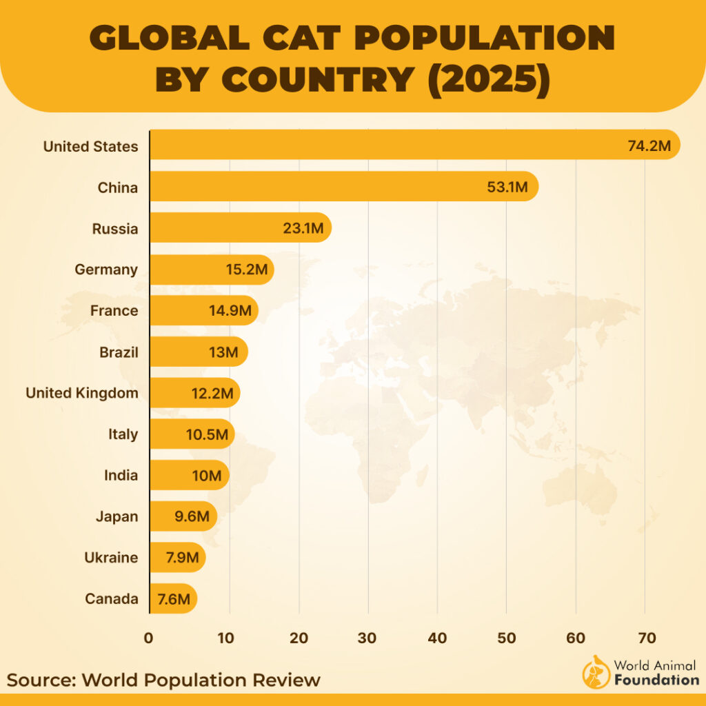 How Many Breeds of Cats Are There?