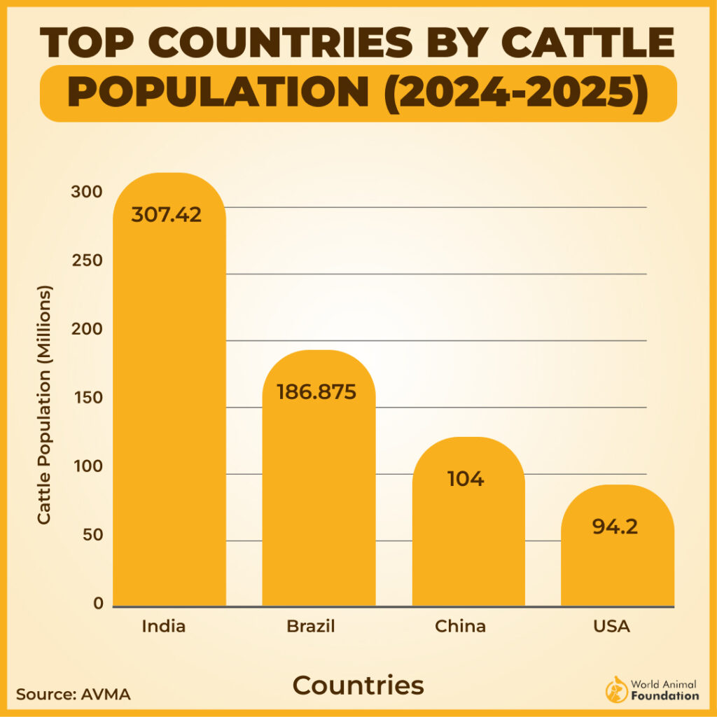 top countries by cattle