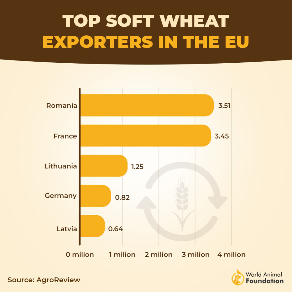 European Union  wheat export
