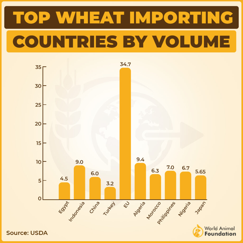 Wheat Imports by Country
