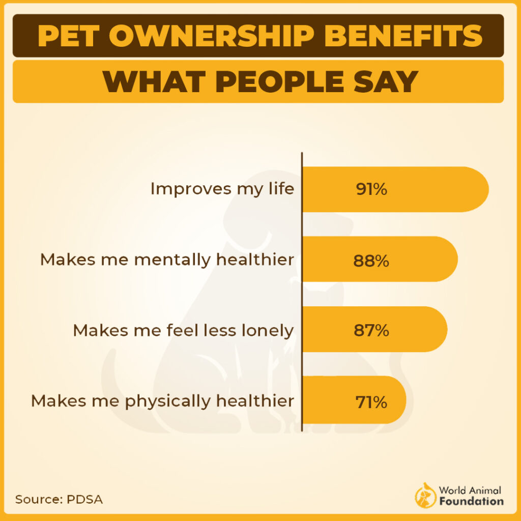 pet industry essential tips