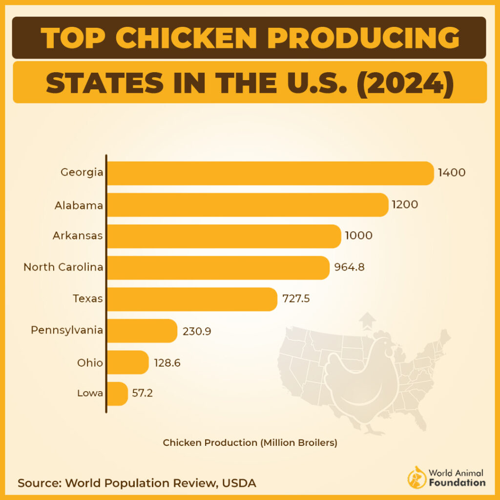 chicken and turkey farms