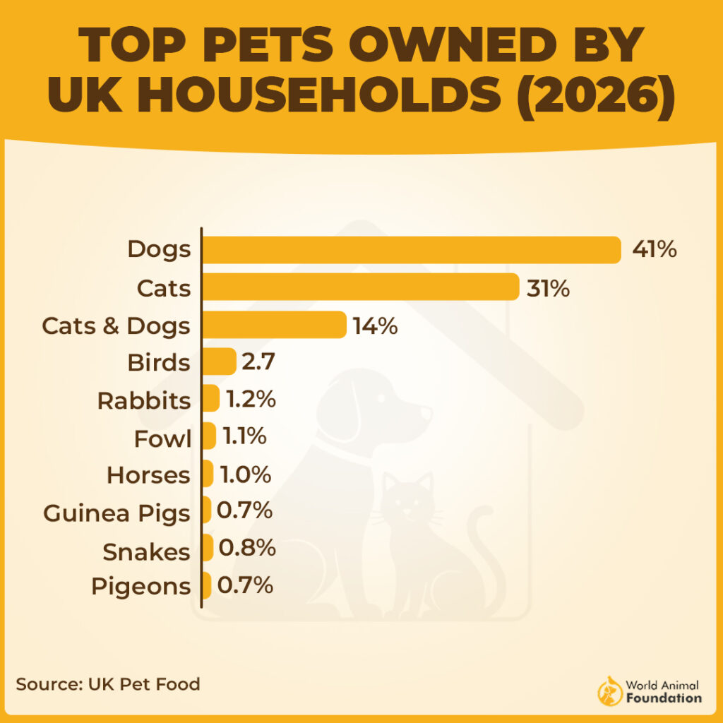 top 10 pets in the UK