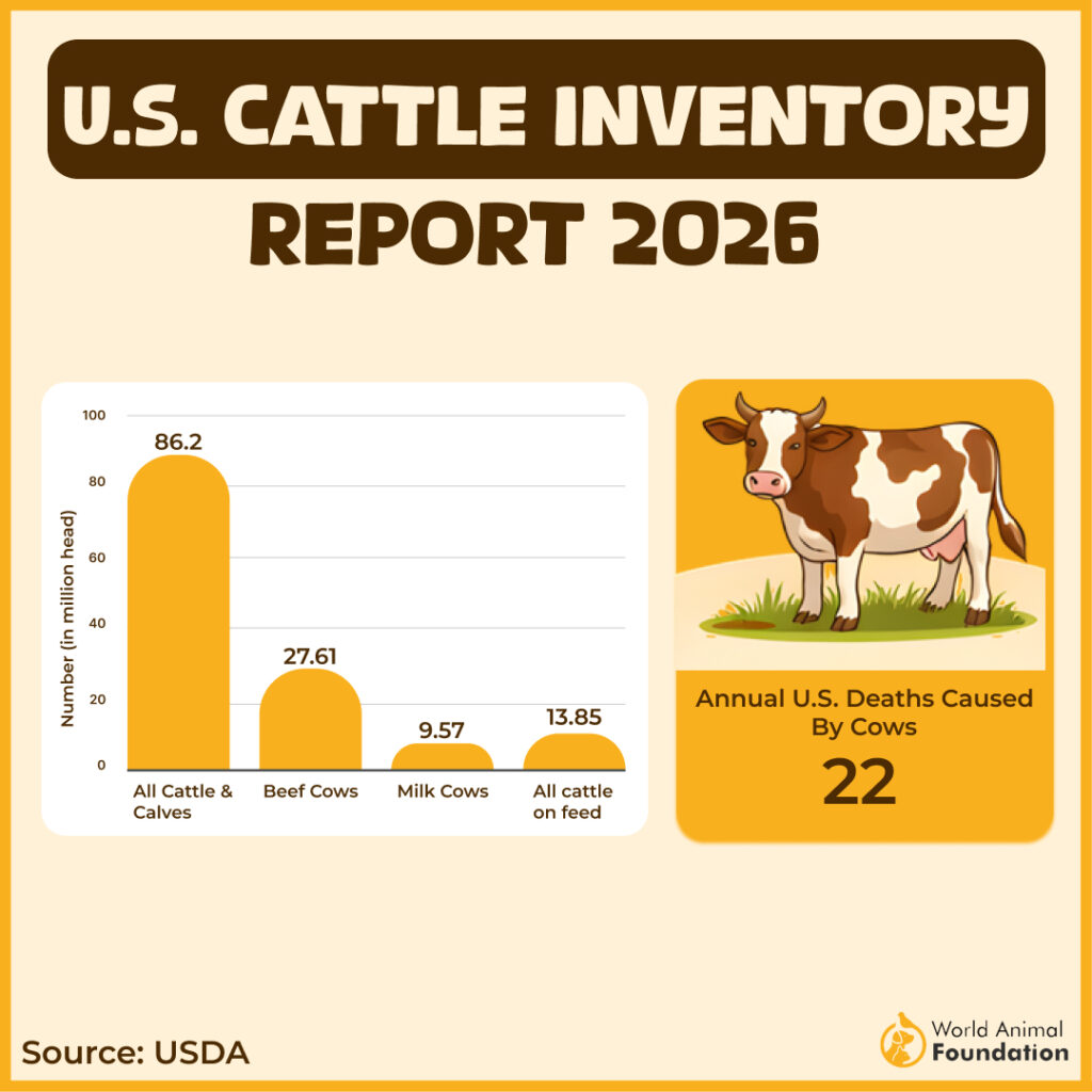 U.S. CATTLE INVENTORY
REPORT 2025