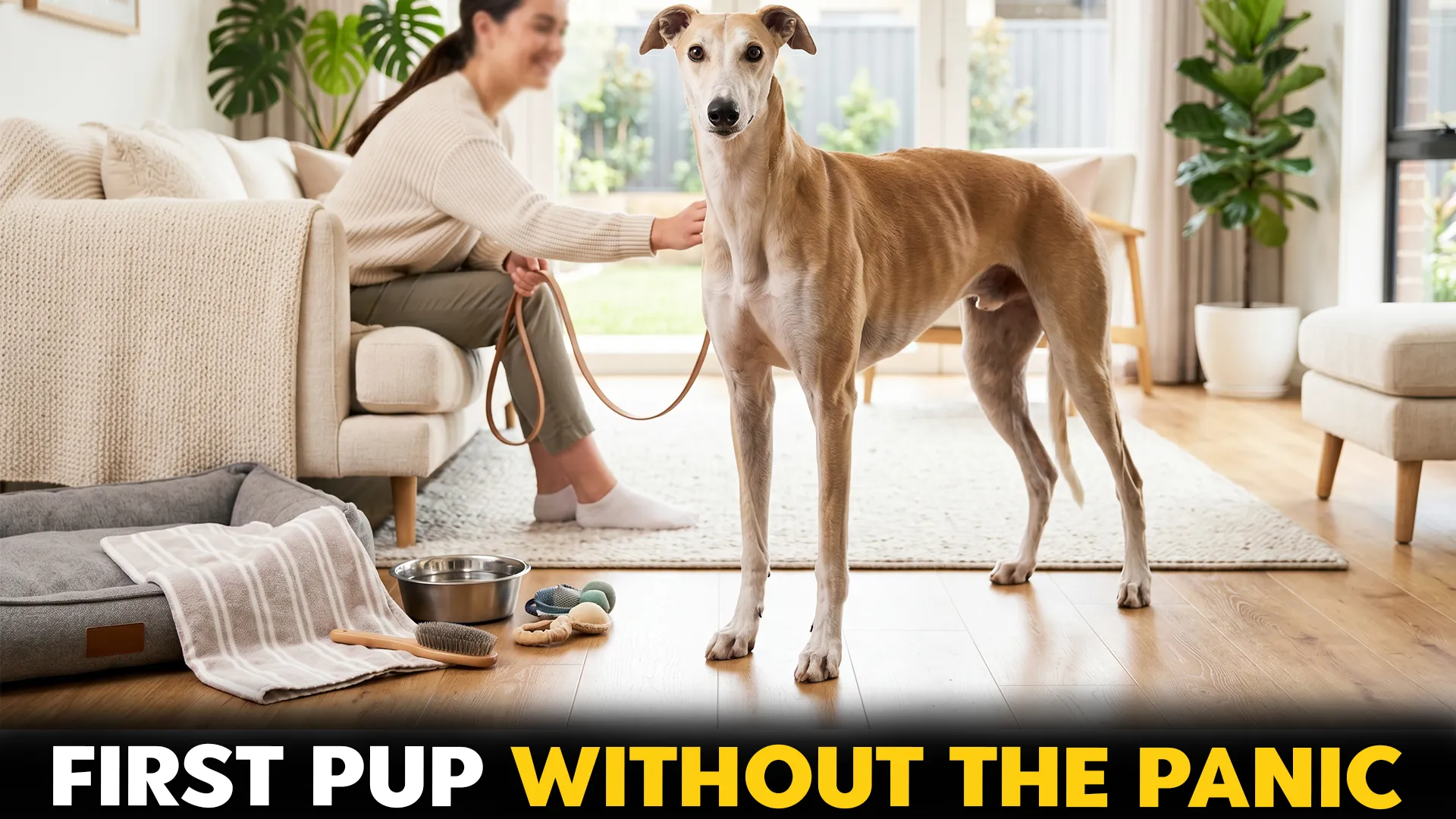 7 easy to care dog breeds for first time owners