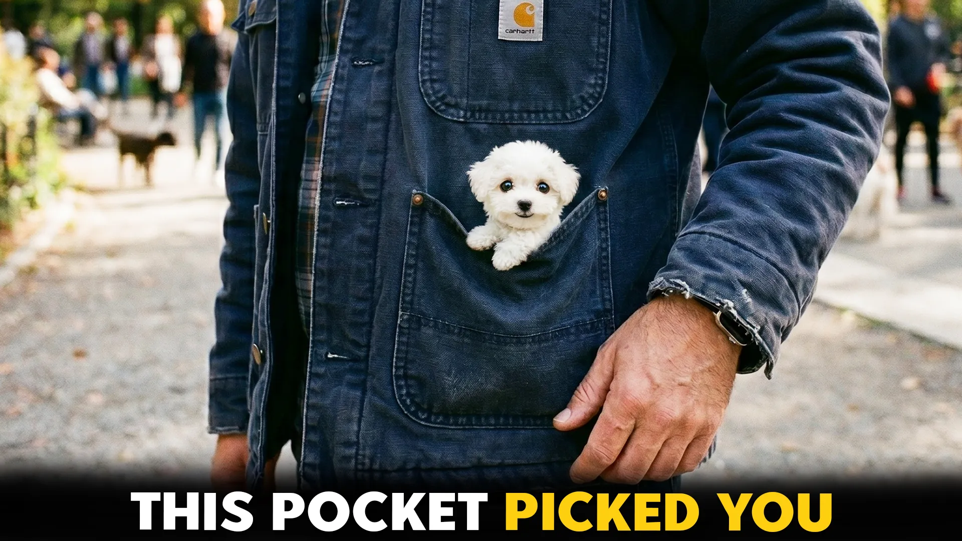 7-Fantastic-Pocket-Dog-Breeds-Finding-Your-Ideal-Match