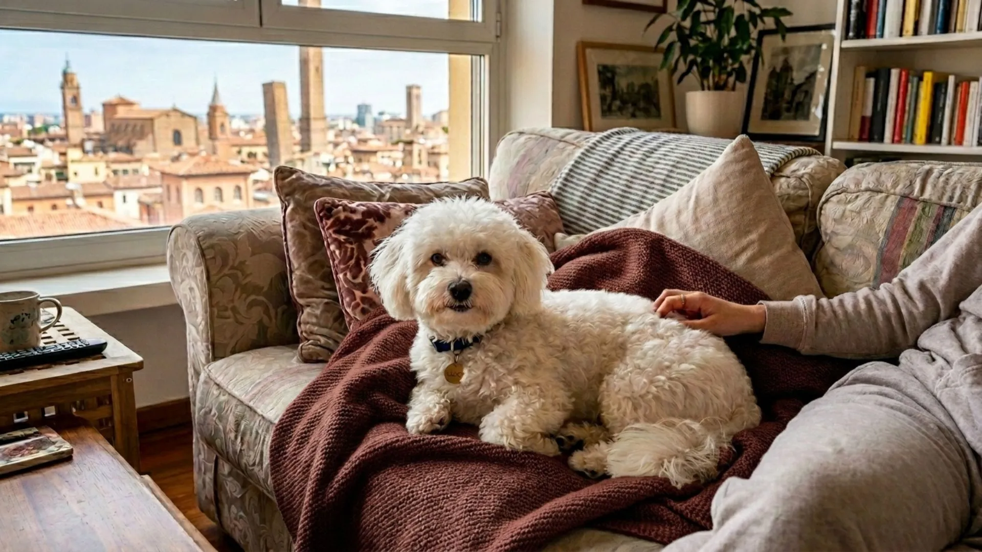 City-Optimized Dog Breeds for Couch‑Surfing Owners