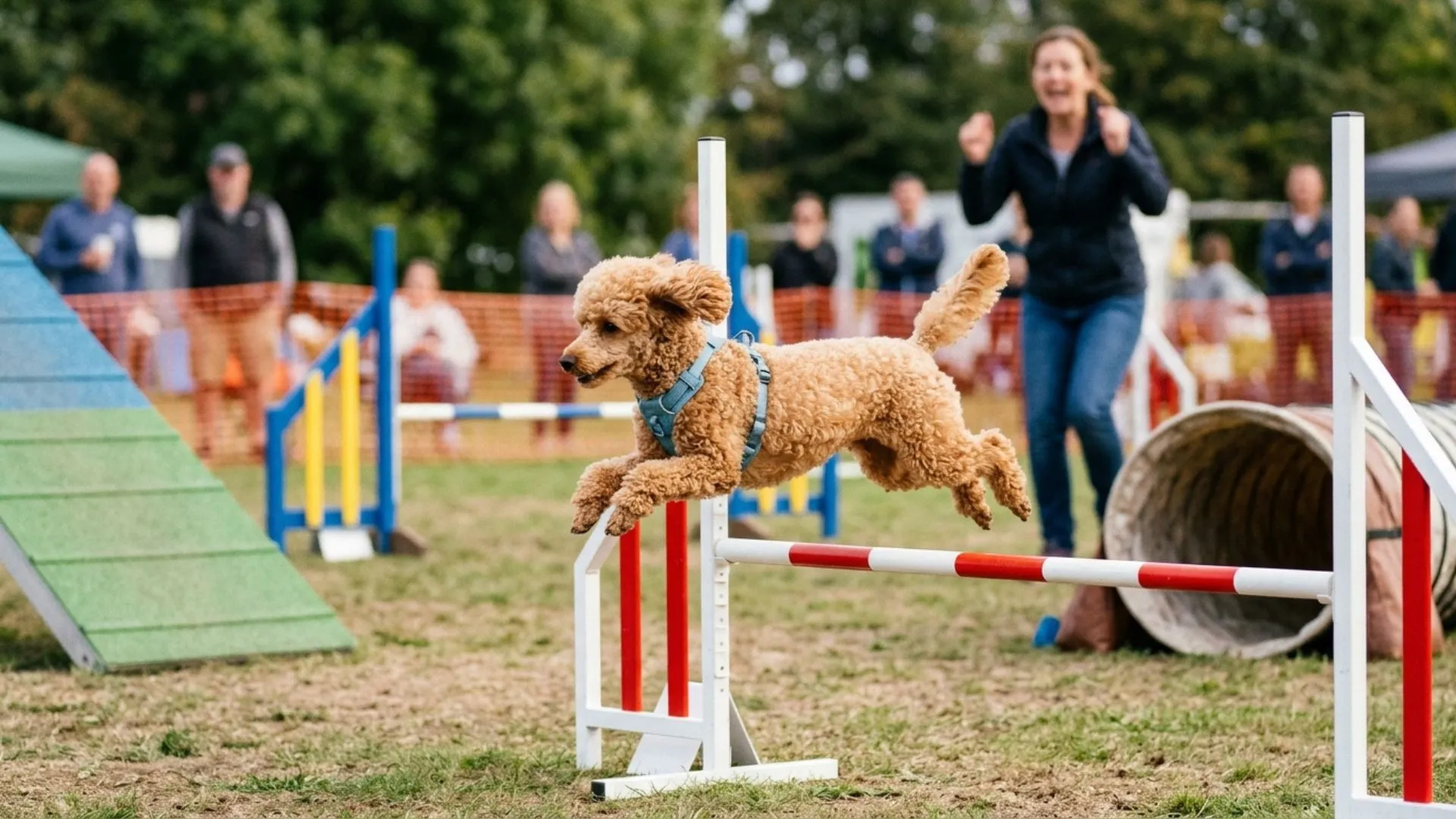7 Most Intelligent Dog Breeds Revealed: Which One Tops the List?