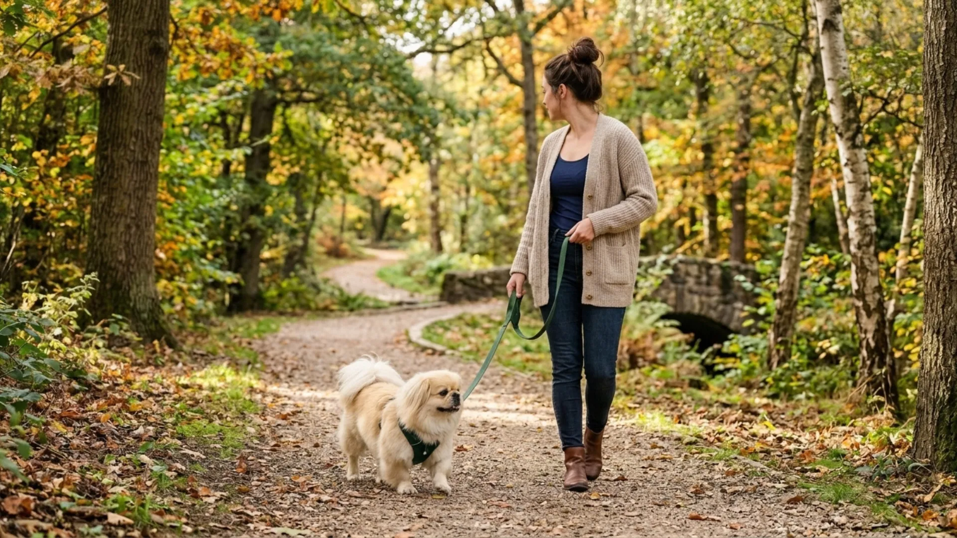 Gentle Dog Breeds for Introverts Who Love Quiet Walks