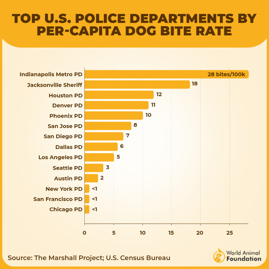 Police Dog Attacks