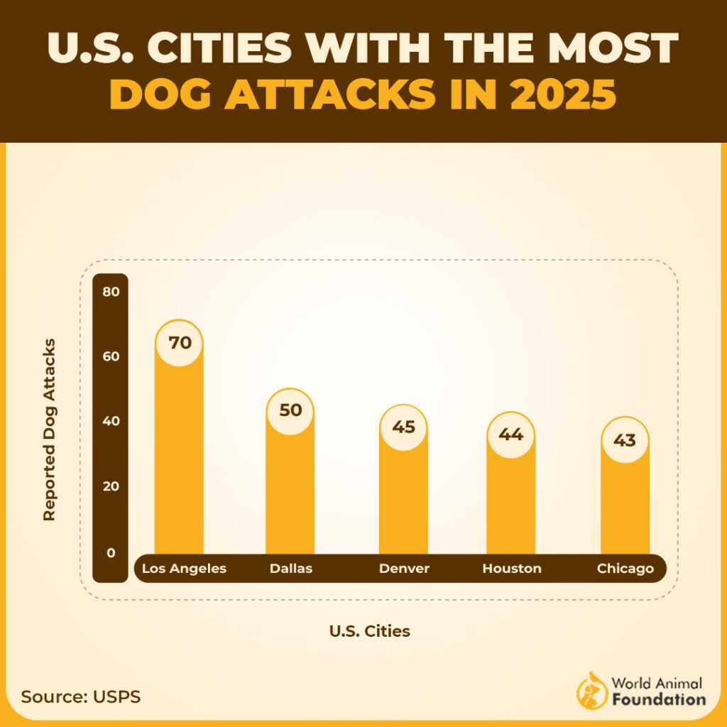 Bar graph of dog attacks by city