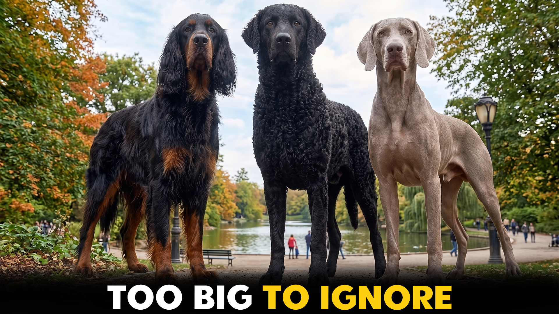 extraordinary large dog breeds you should know