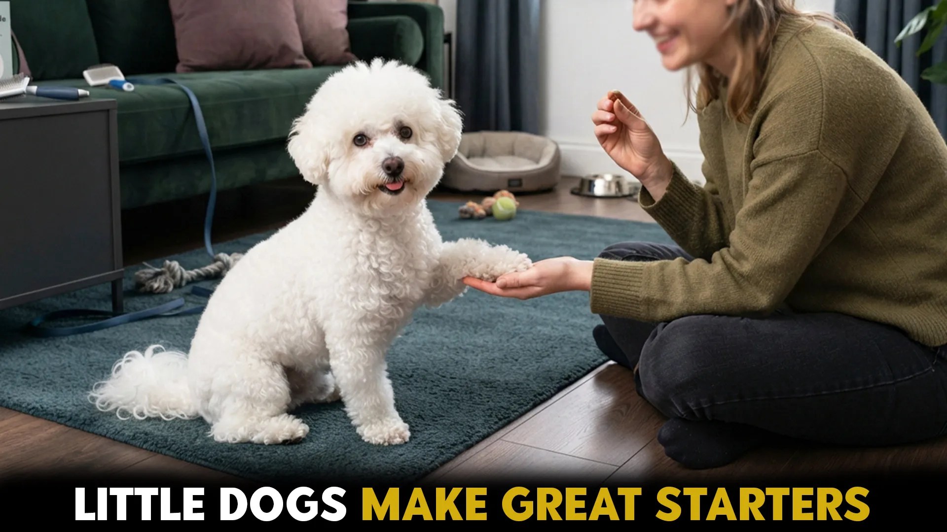 7 small dog breeds that shine for first time dog owners