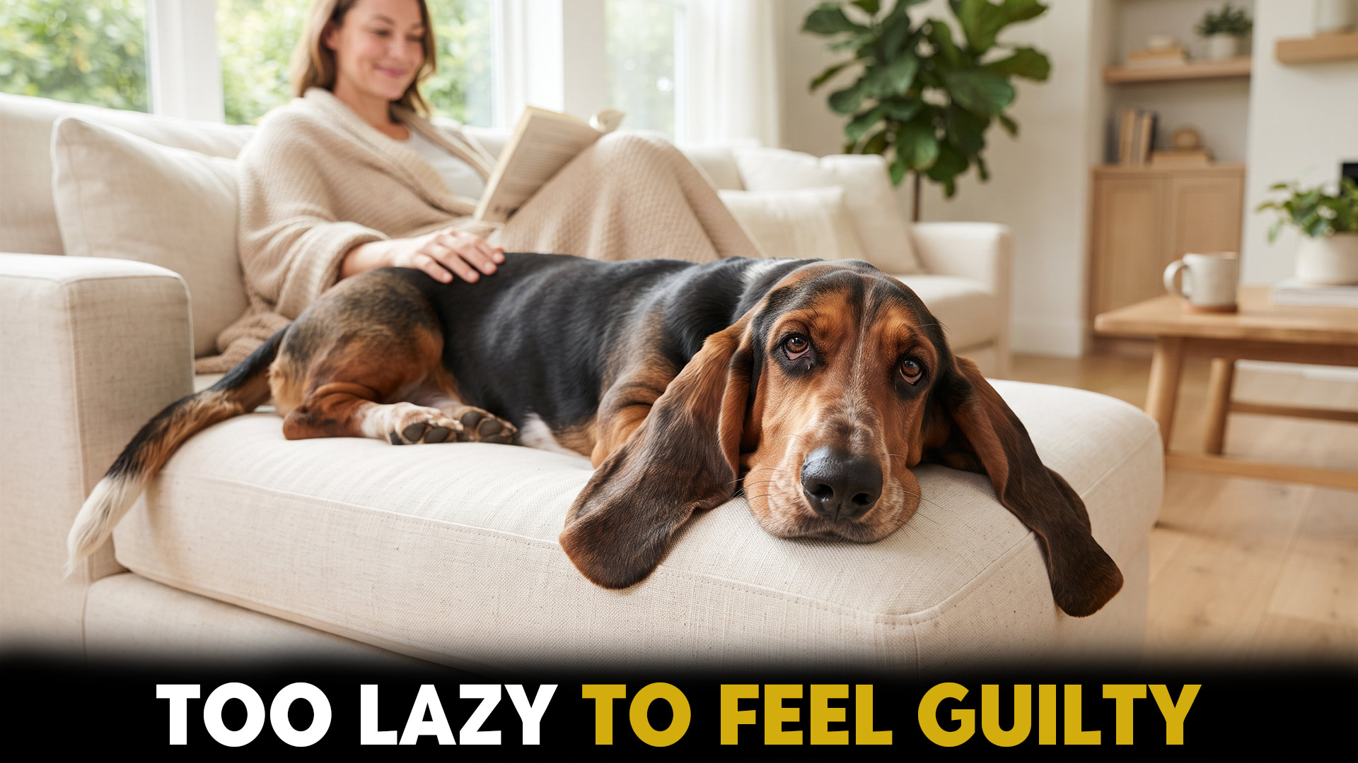 7 gentle dog breeds ideal for lethargic
