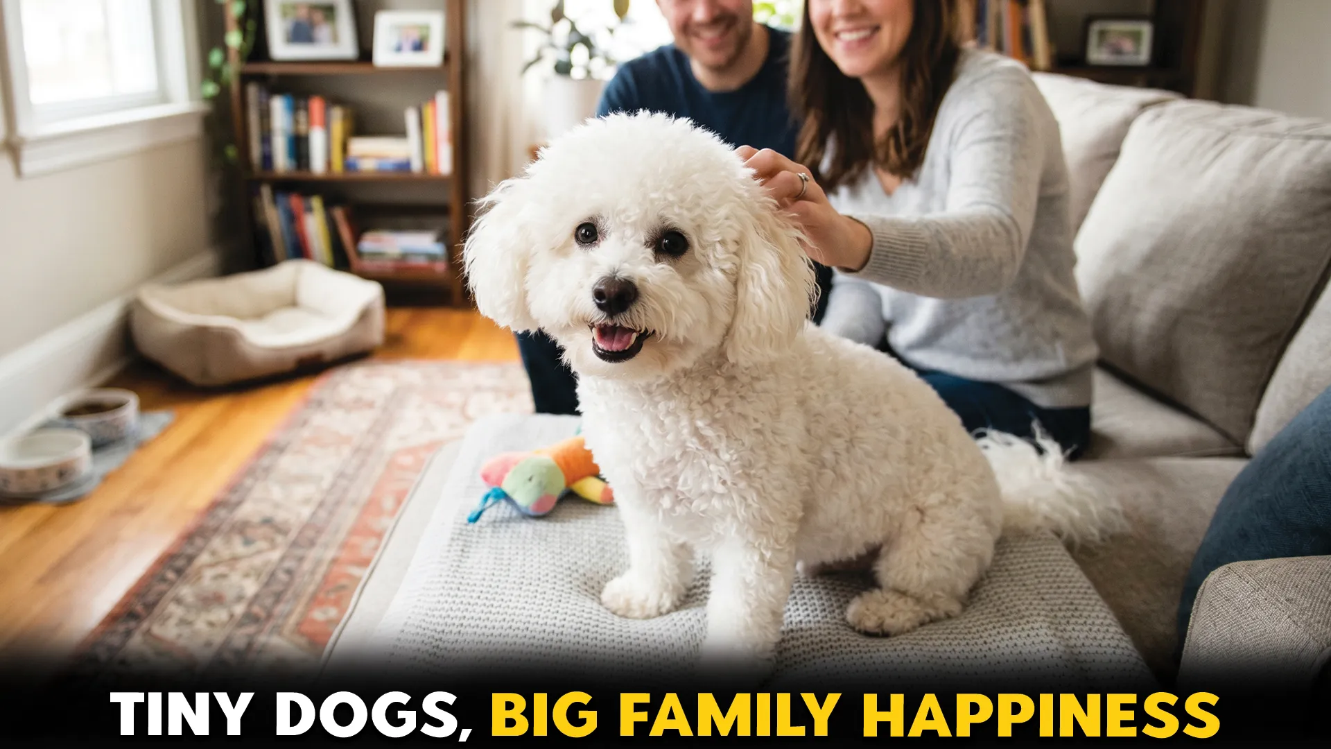 9 Ideal Tiny Dog Breeds for a Happy Household
