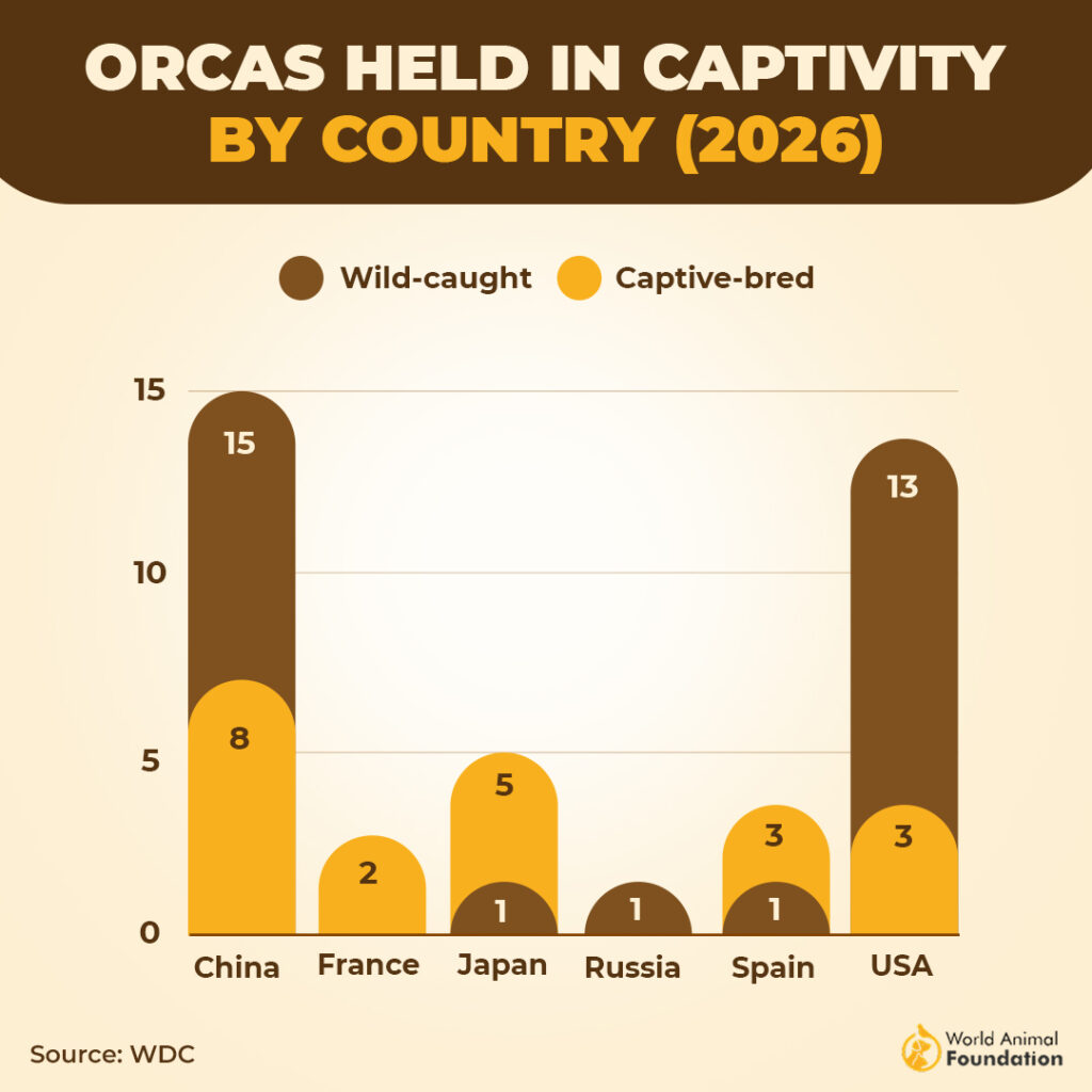 ORCAS HELD IN CAPTIVITY
BY COUNTRY (2026)