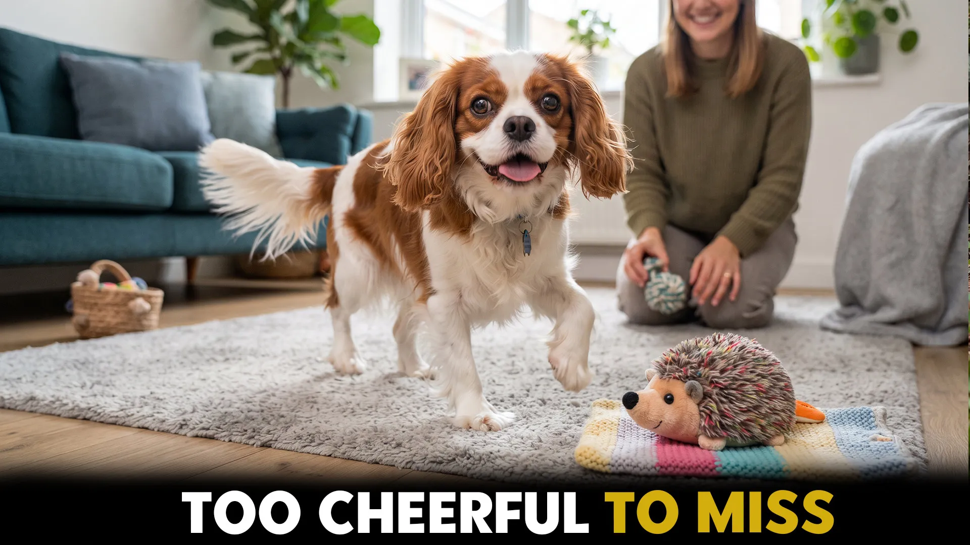 top 10 cheerful small dog breeds that love to play