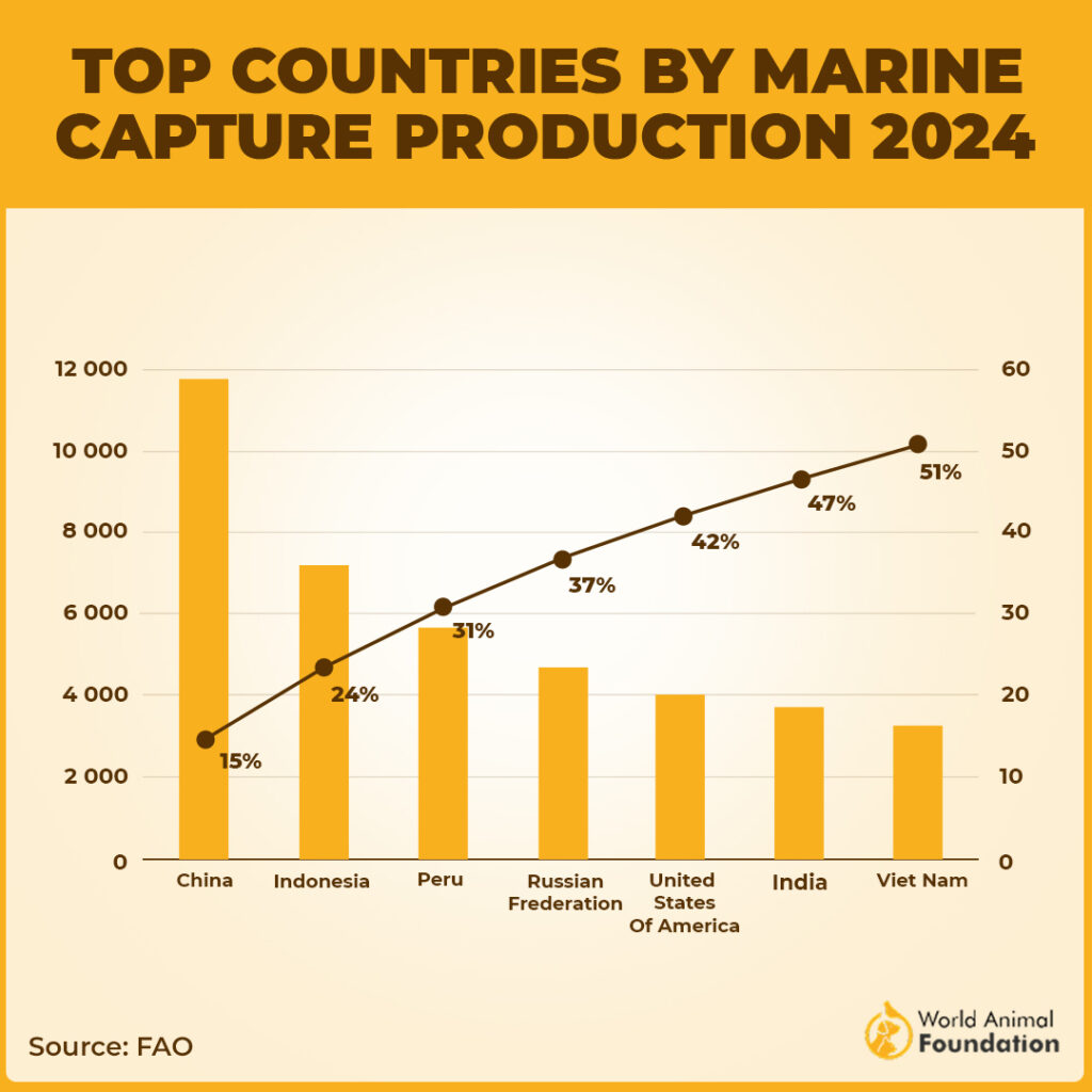 Bar graph of marine capture production