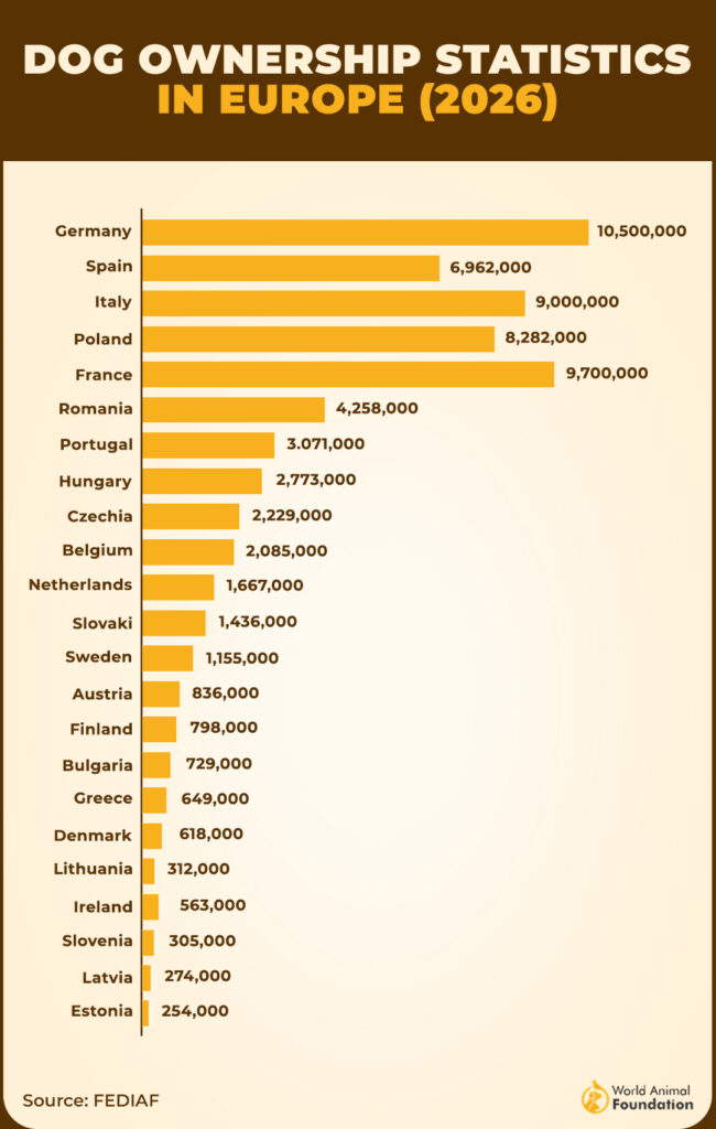 Dogs Population in Europe