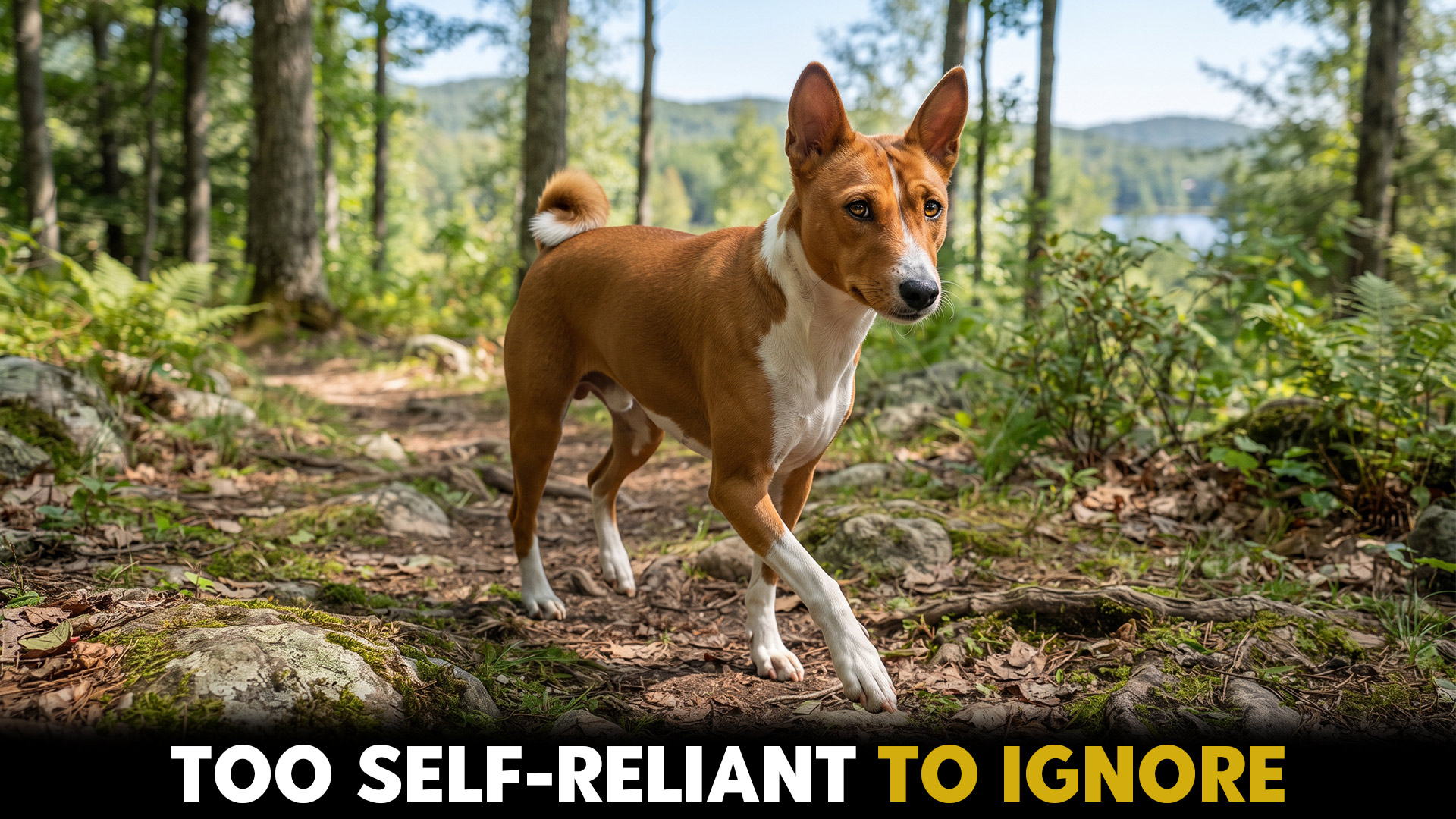 popular dog breeds that pre