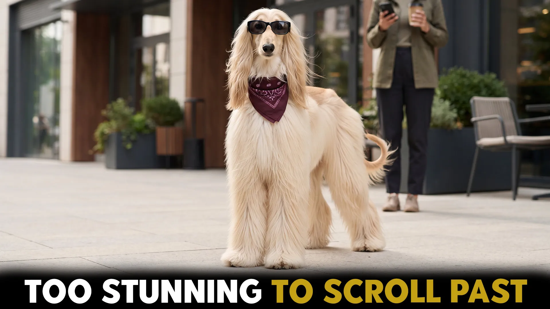 10 Most Stunning Dog Breeds for the Modern Pet Owner