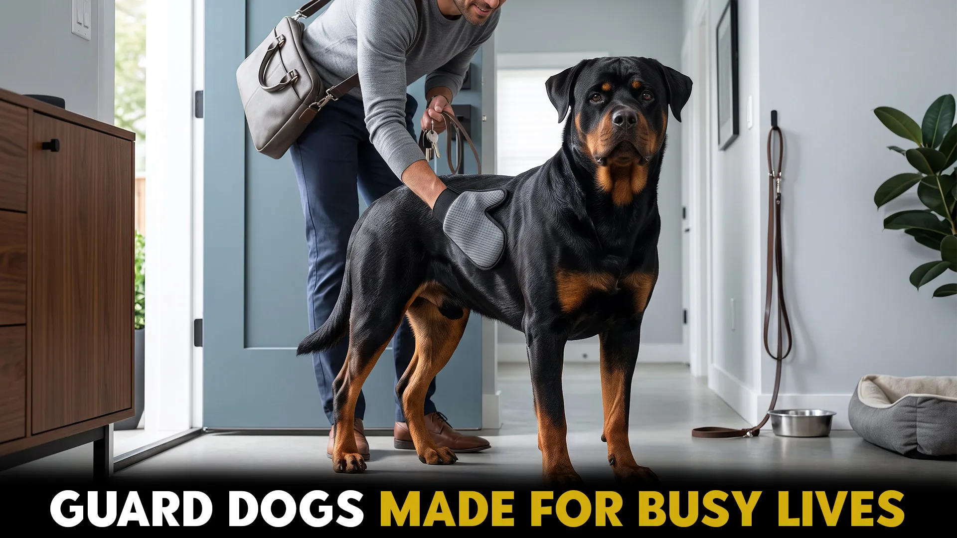 7 guard dog breeds with minimal grooming for busy lifestyles