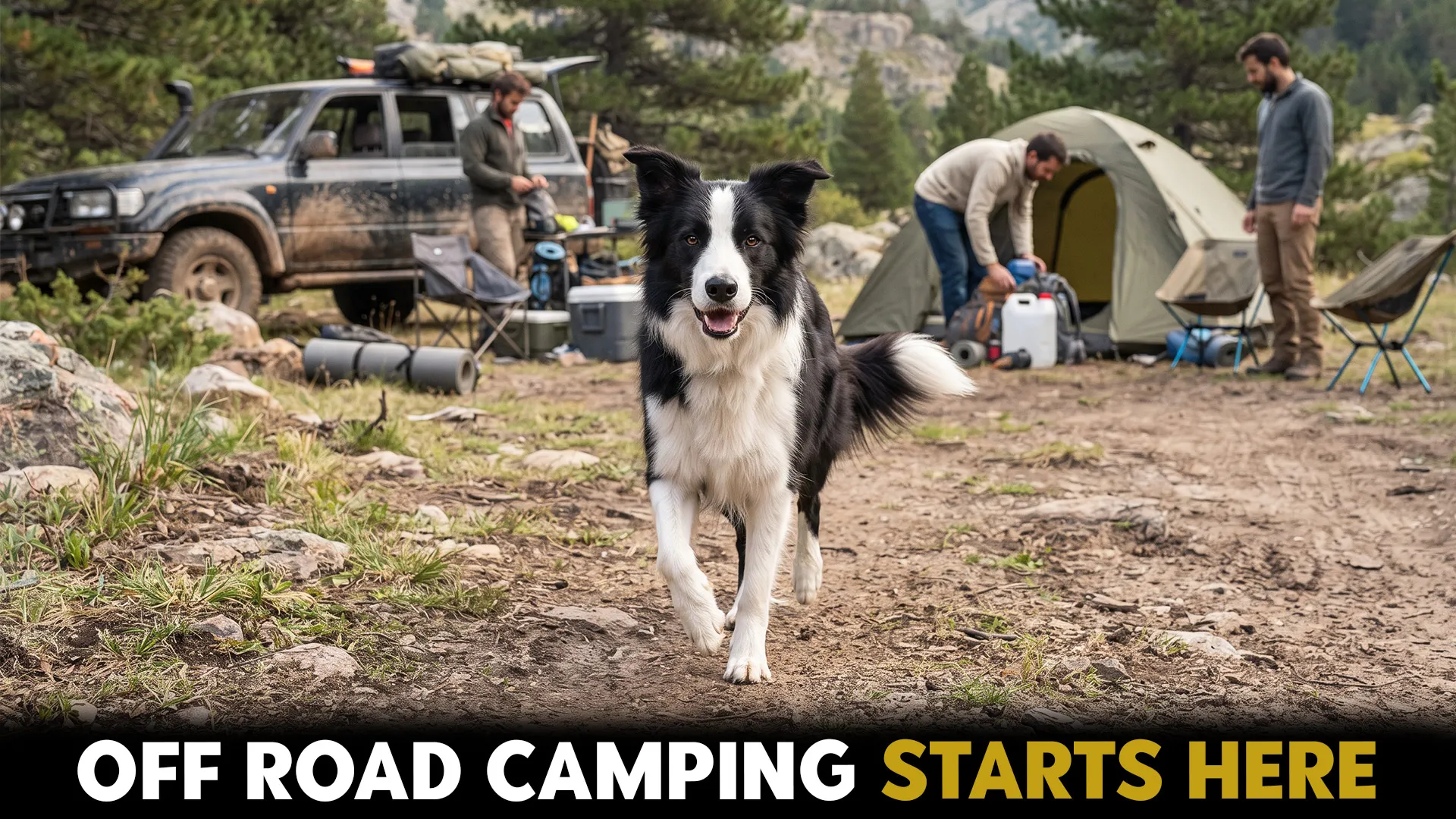 7 Pack‑Friendly Dog Breeds Ideal for Off‑Road Camping Trips