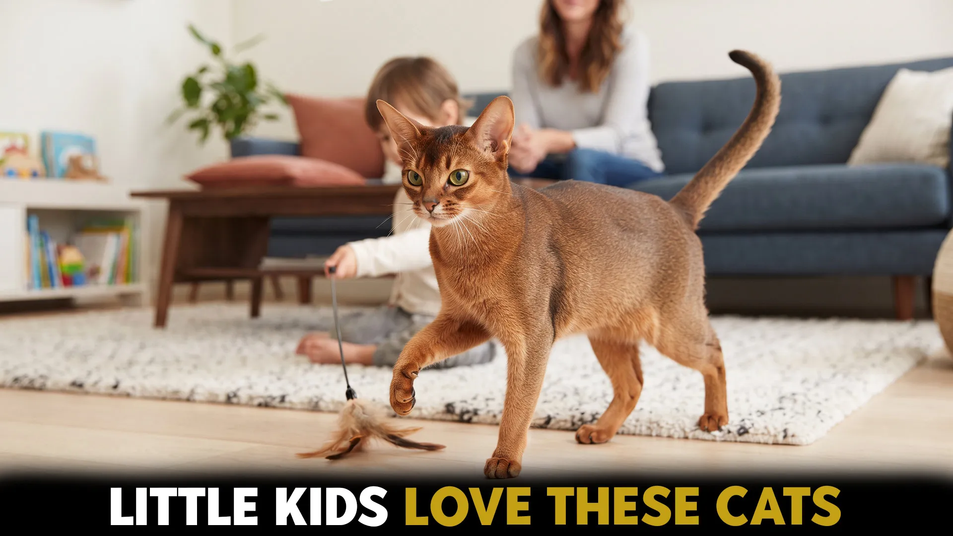 best cats for young children