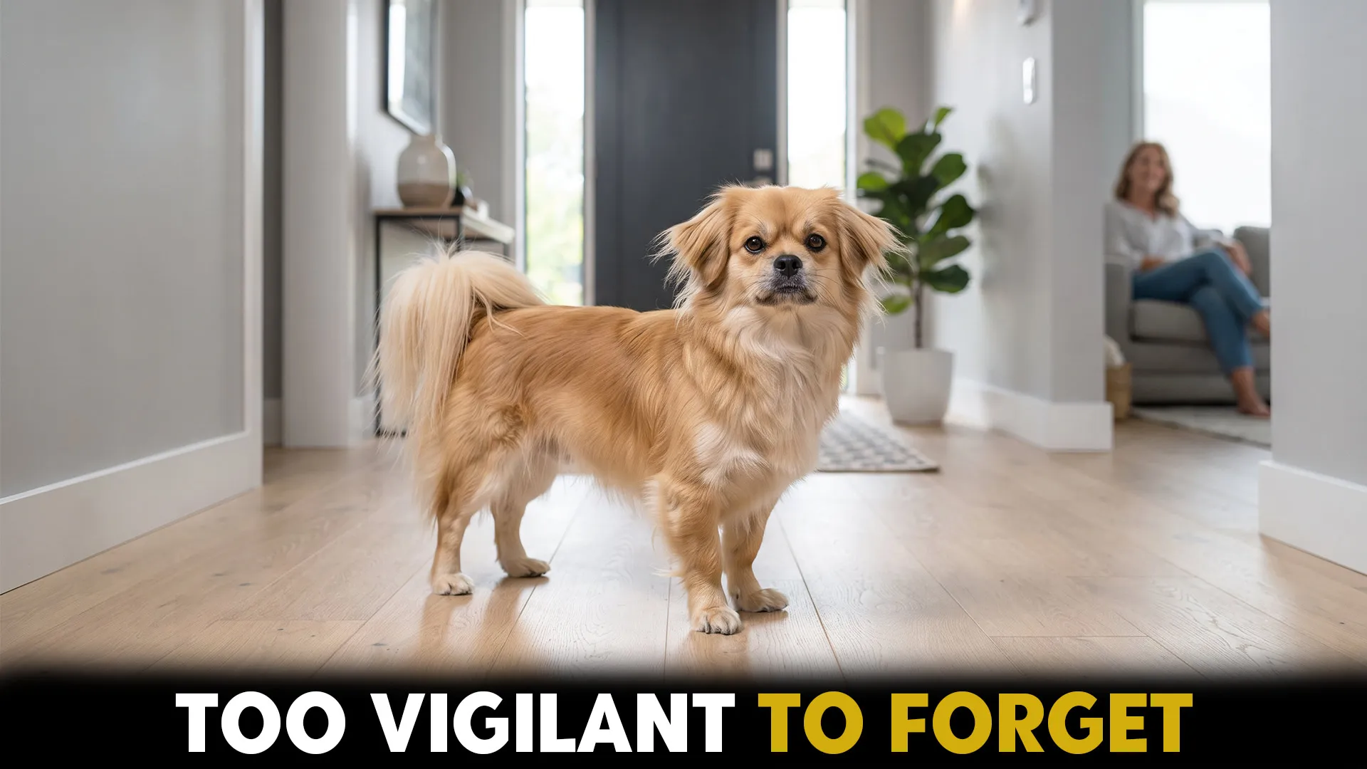 best small dog breeds known for alertness and guarding