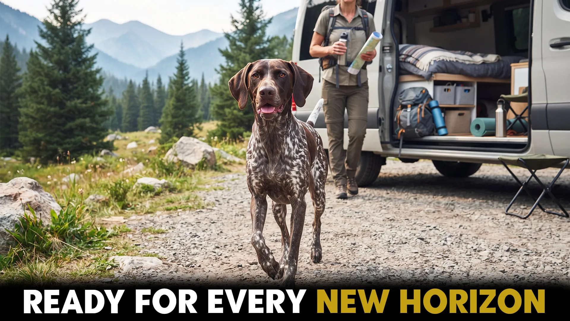 dog breed choices for nomaic adventurous life