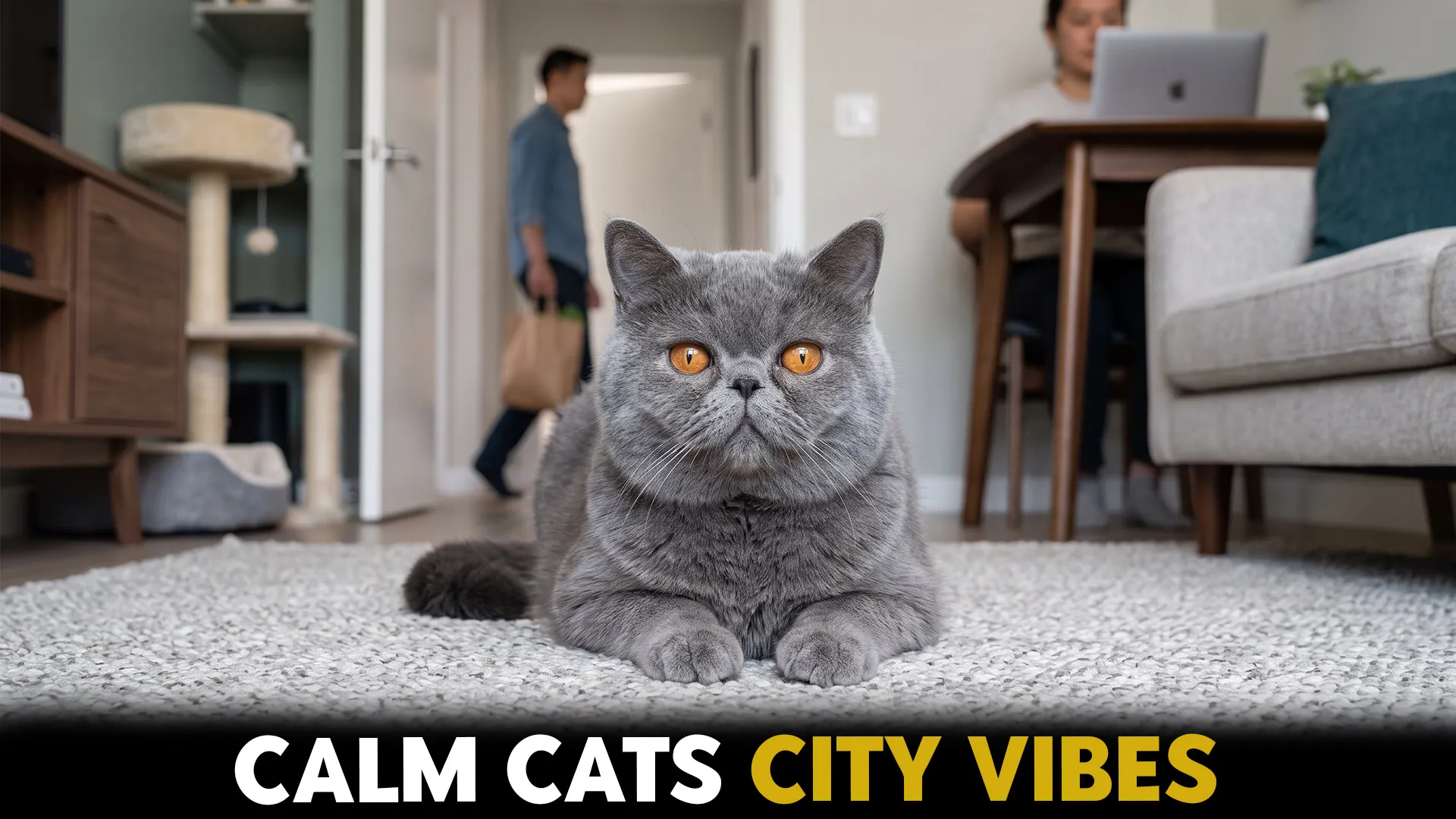 7 best quiet cats for apartments