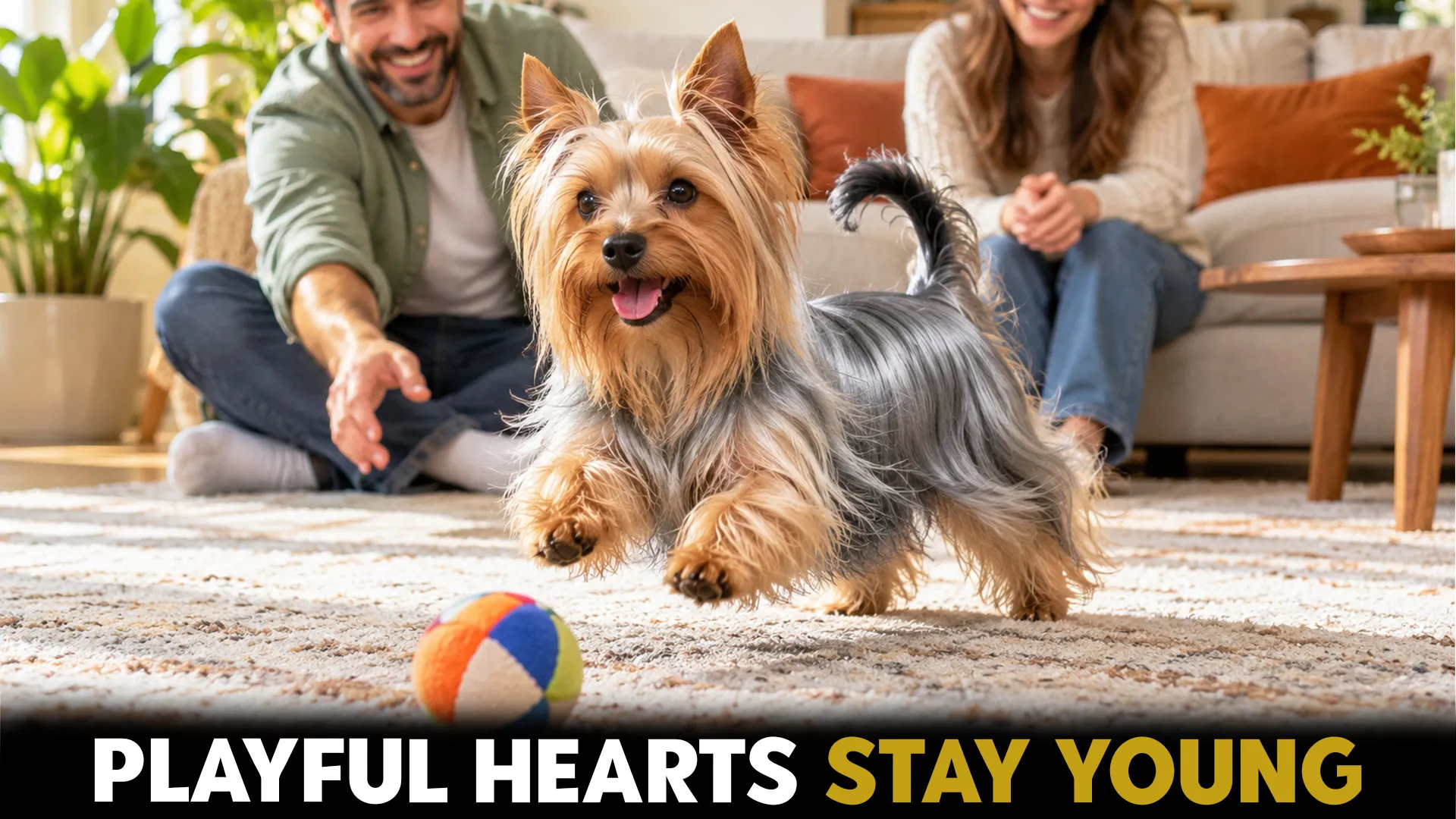 7 Most Playful Small Dog Breeds for Joyful Homeowners